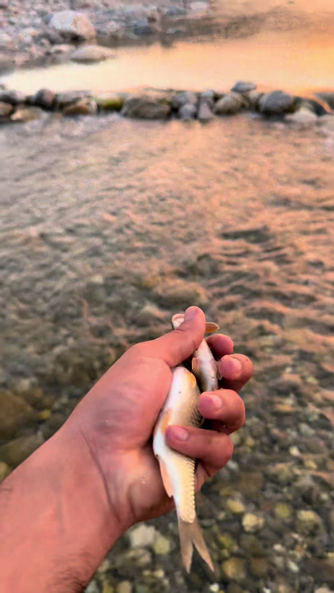 @حیدر بلوچ 🏔️✨🦋