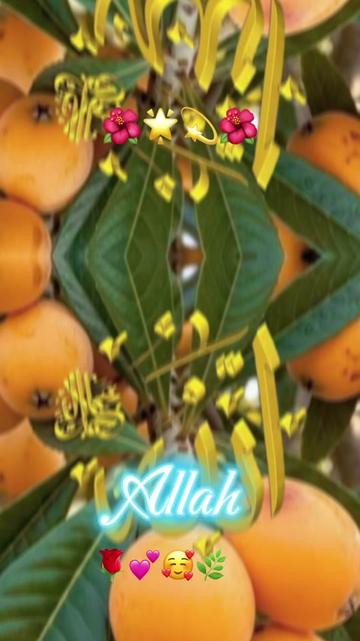 @madinamunawar7
