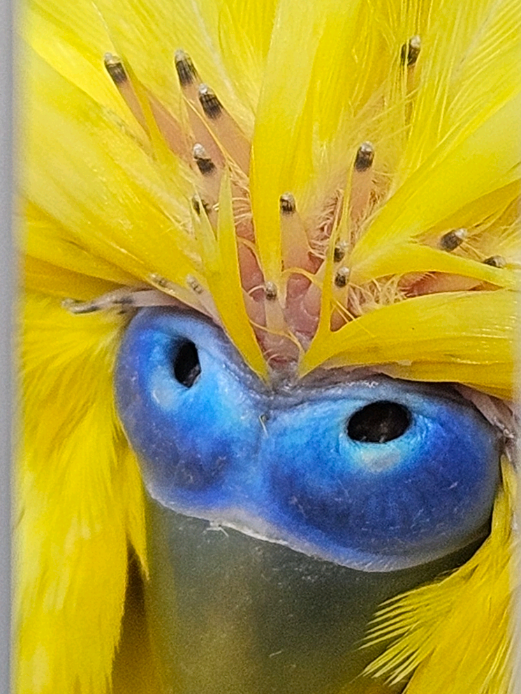 @Run Slow-Mo Charlie🦜