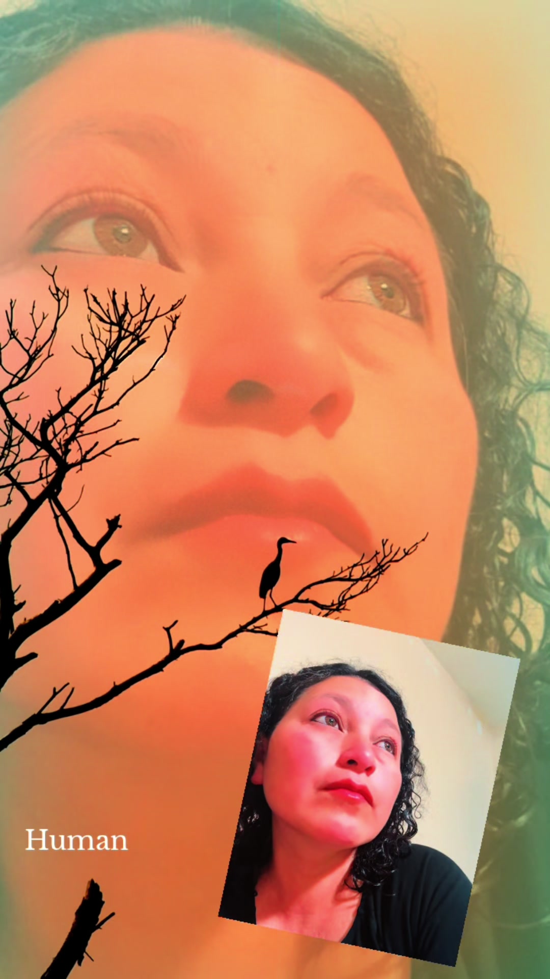 @Evelyn Mart&iacute;nez
