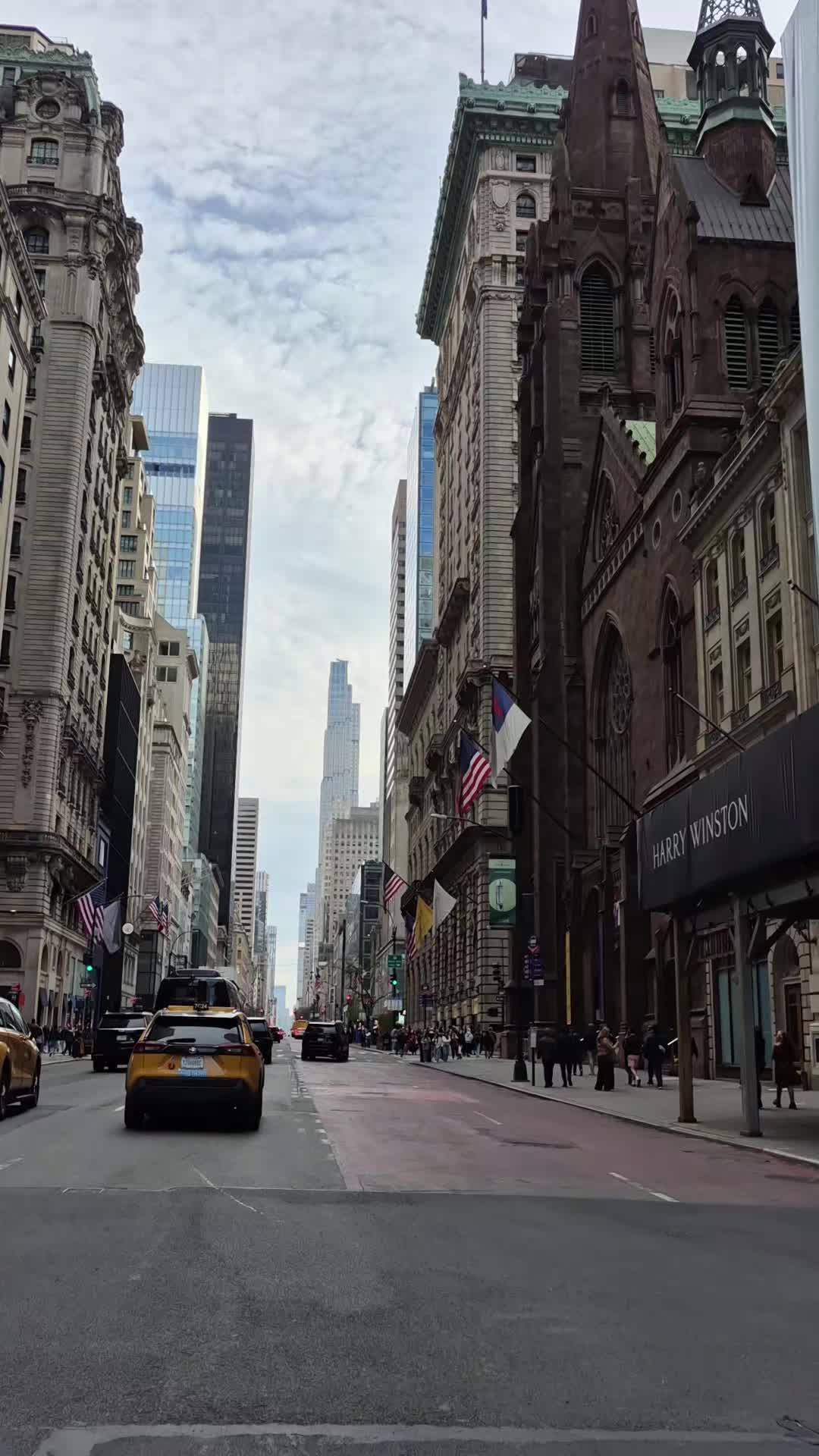 @Nikita/New York City 🇺🇲
