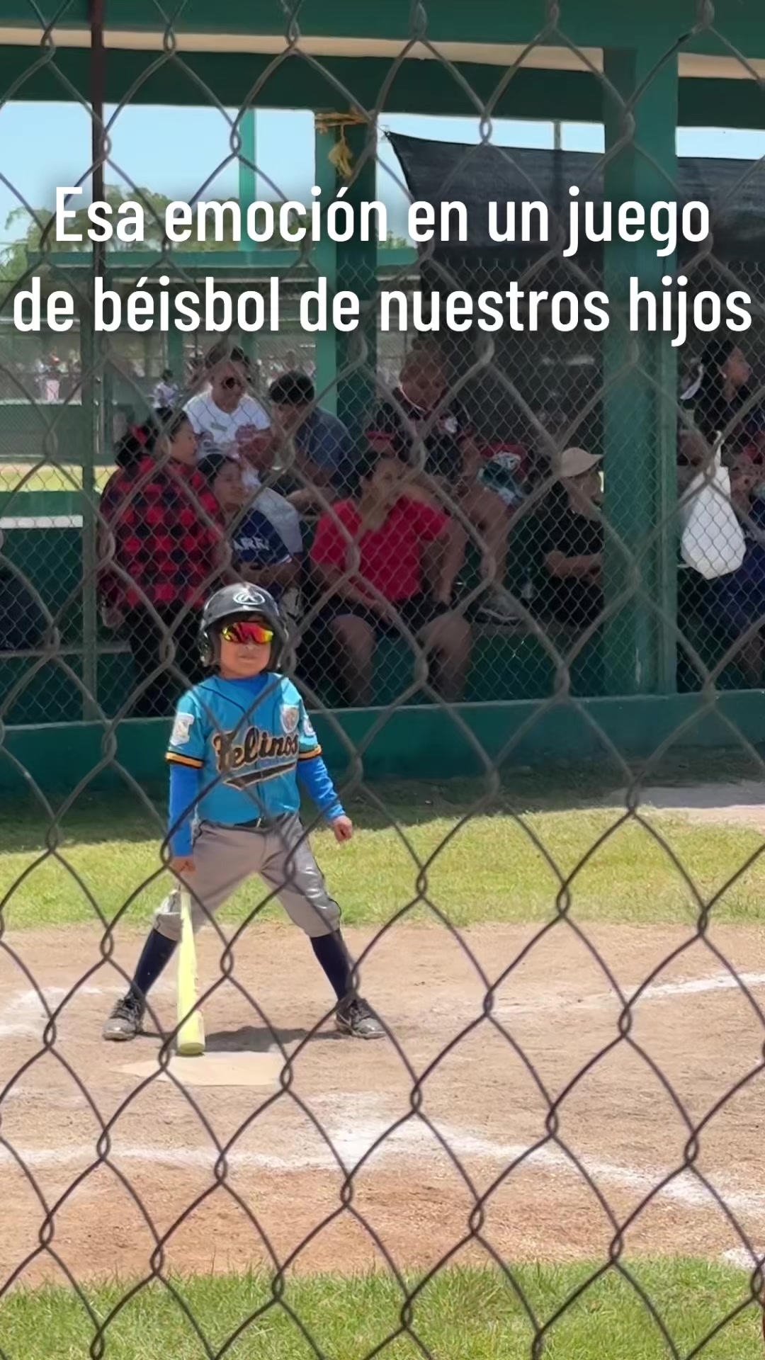 @Mariana Saucedo