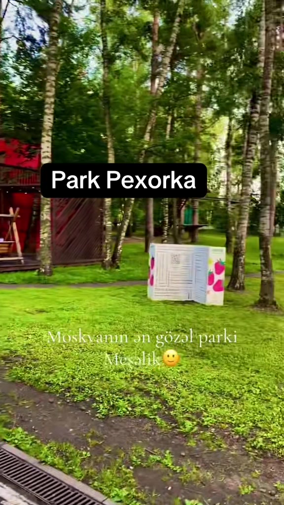 @gagli722