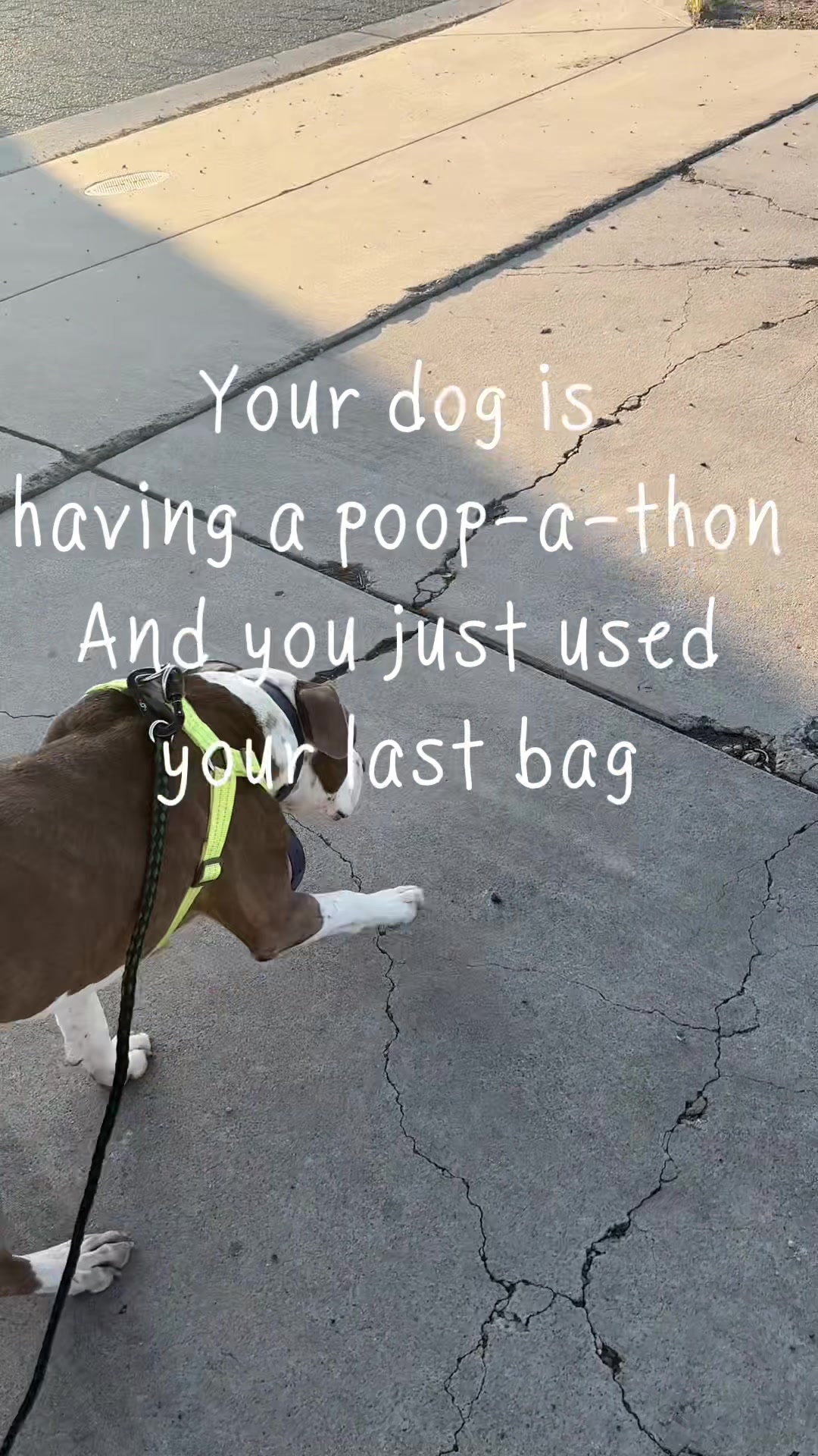 @caponethepitty