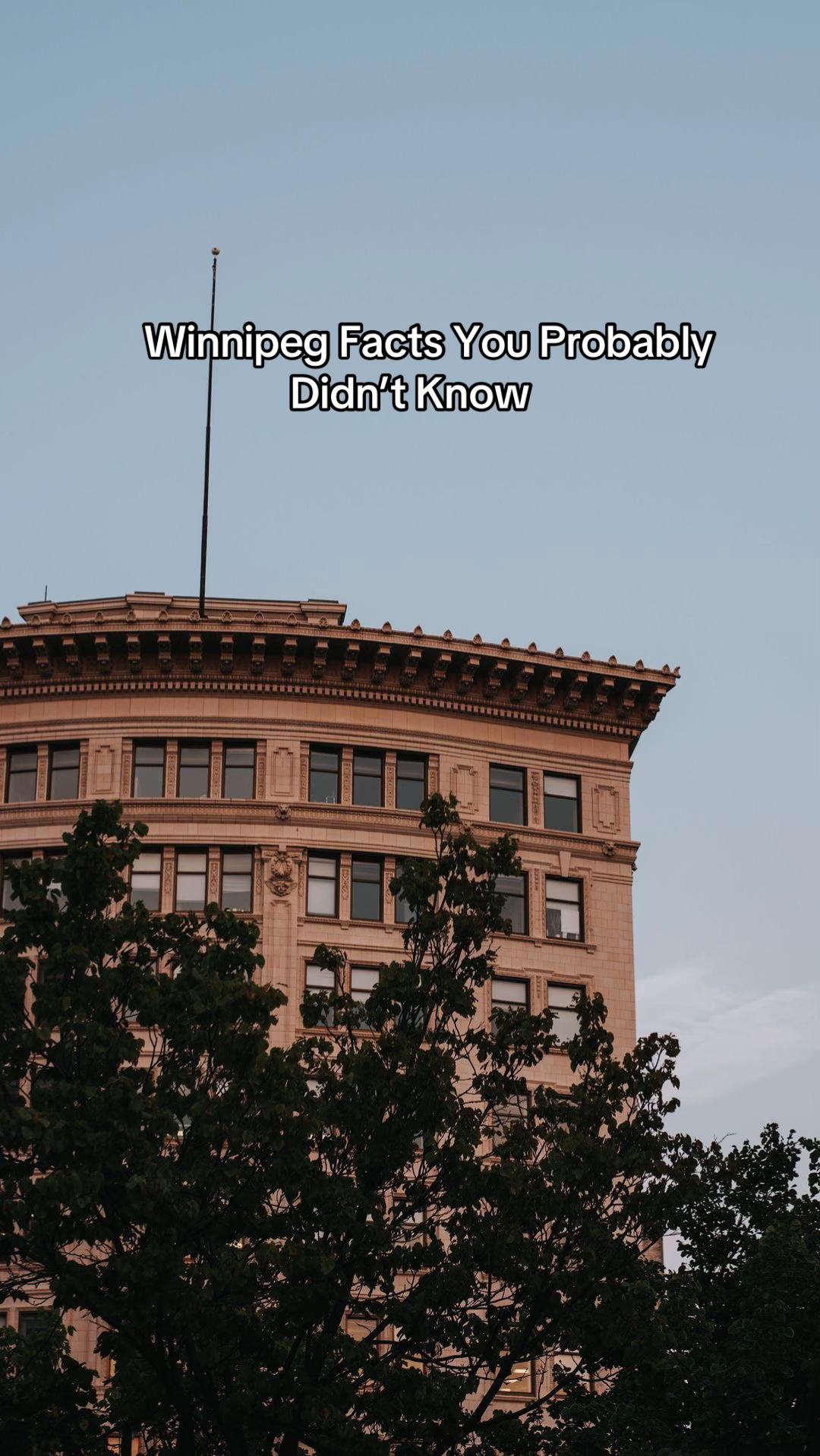 @OnlyInPeg