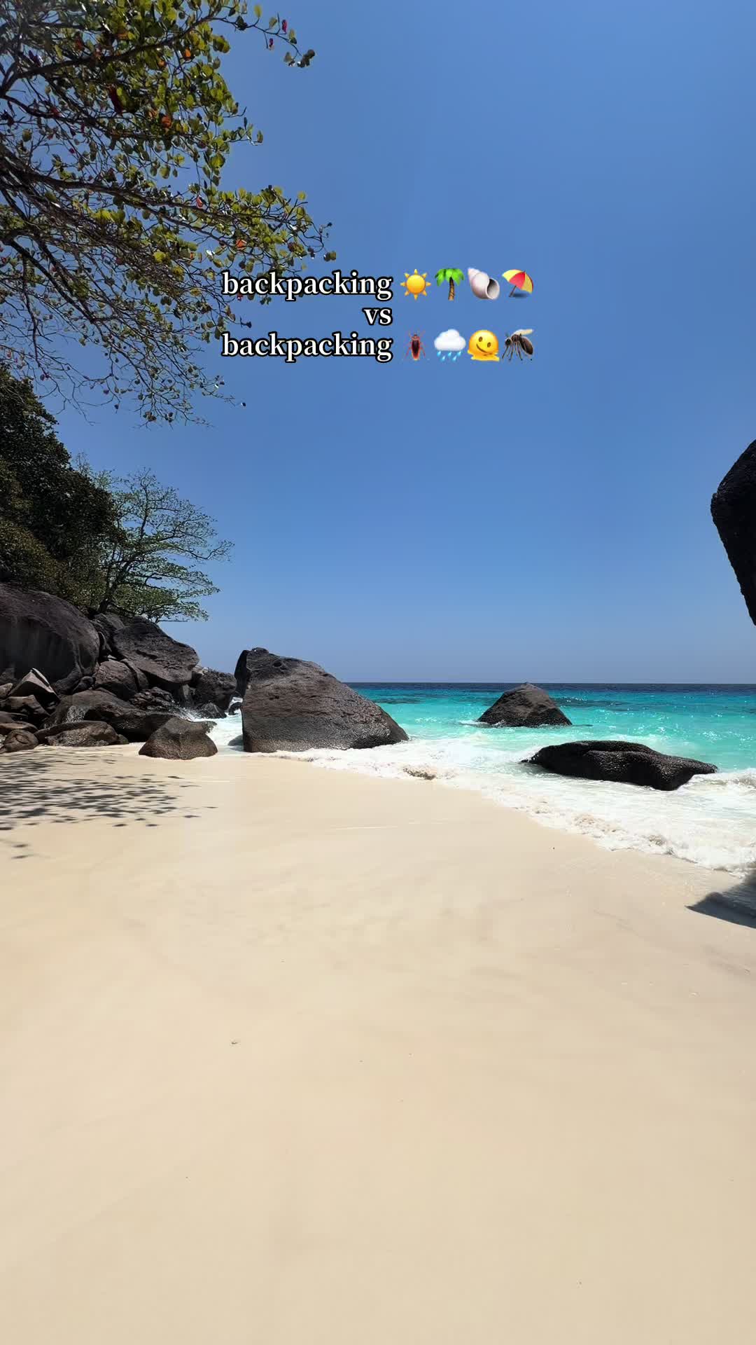 @soɟıɐ