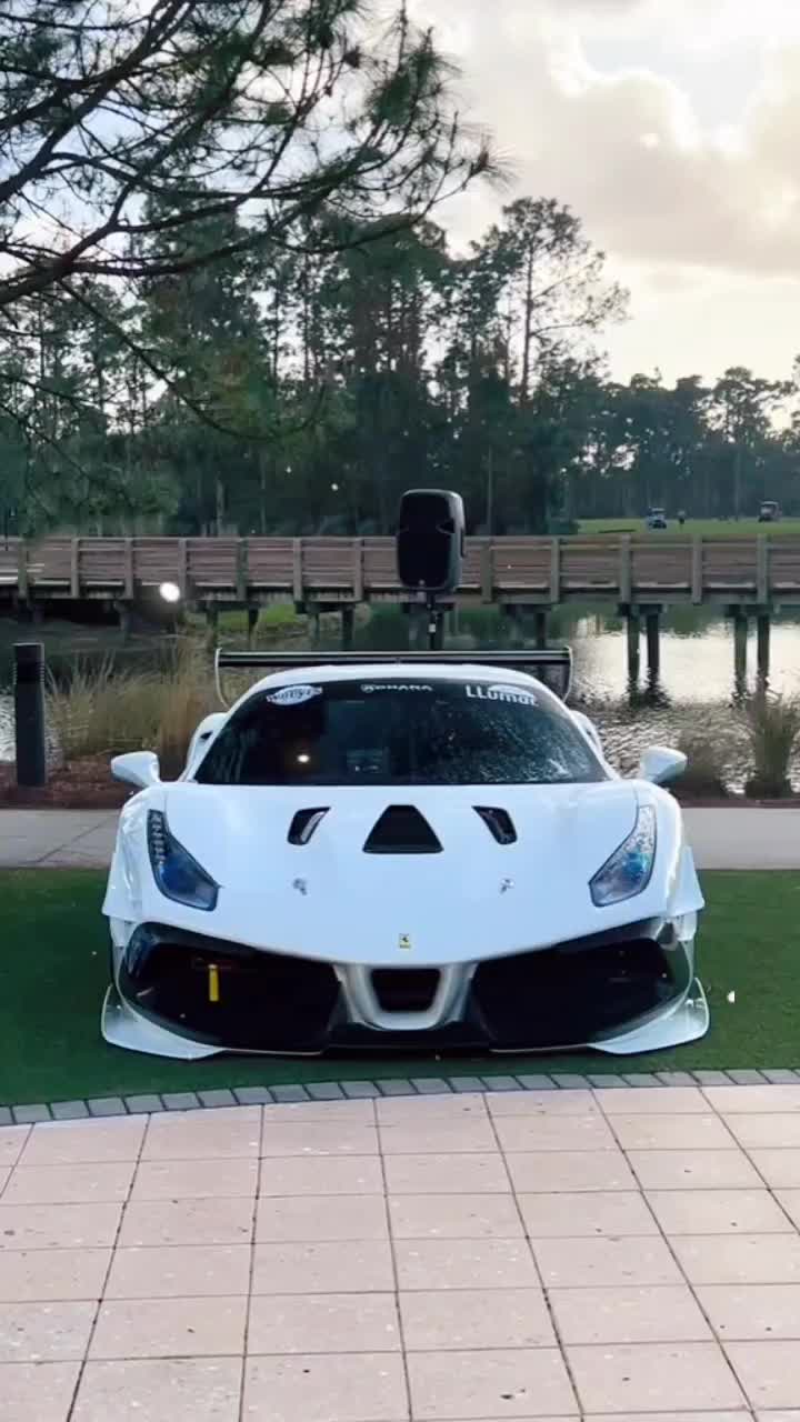 @zaynegreen2