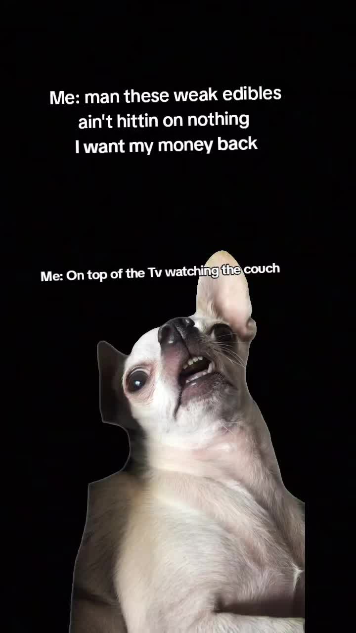 @Big_Handsome1