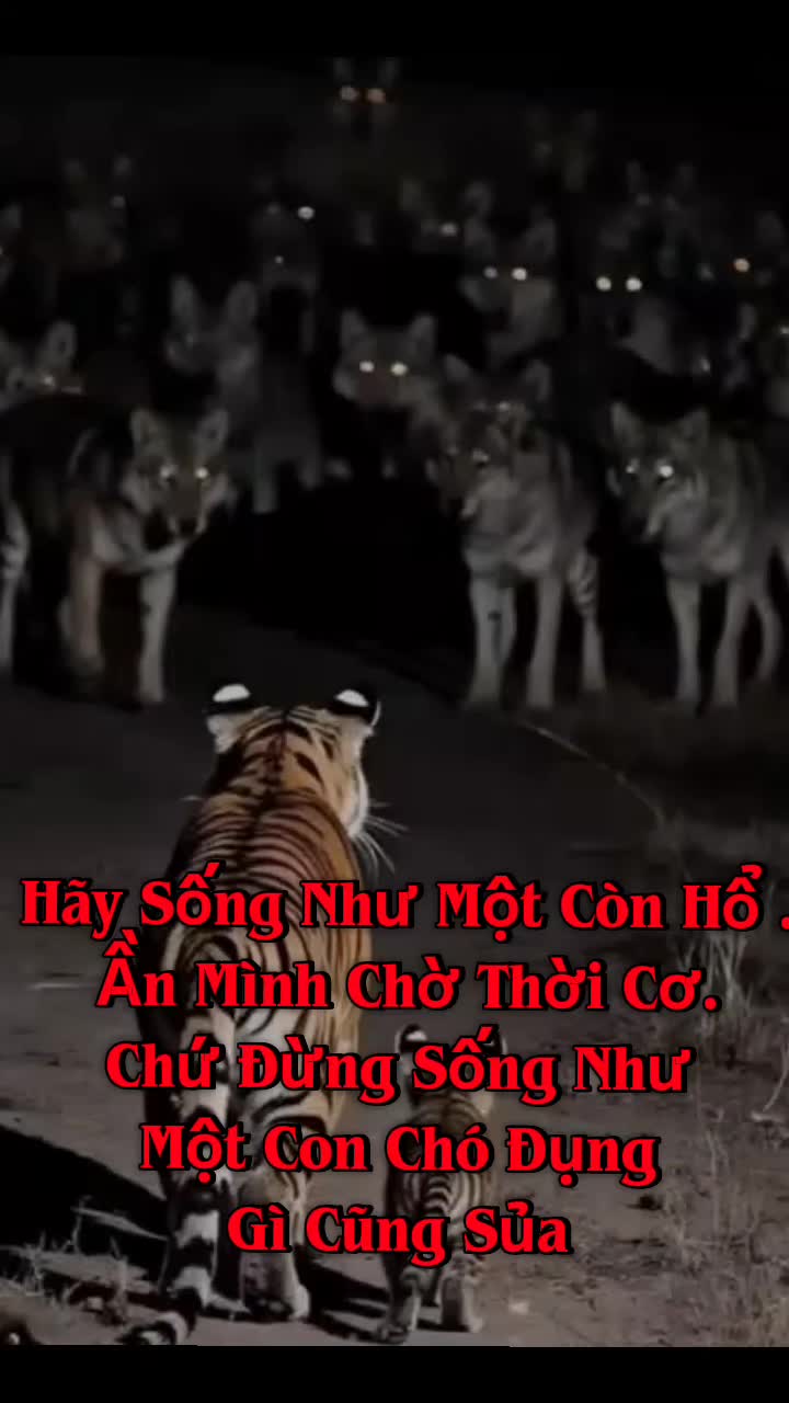 @@VideoAi