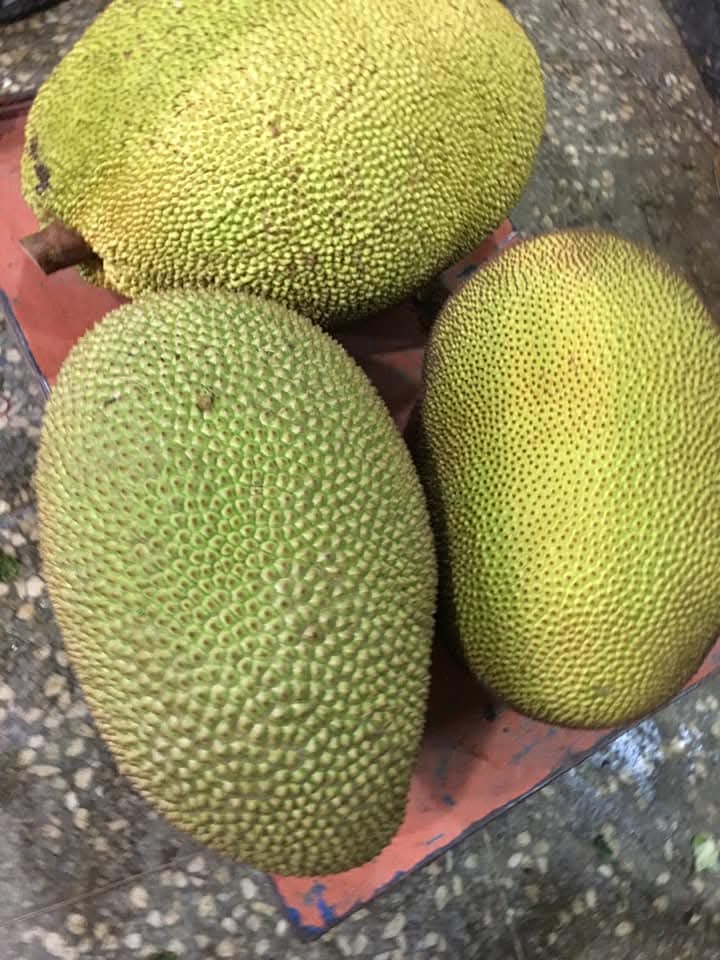 @秋國