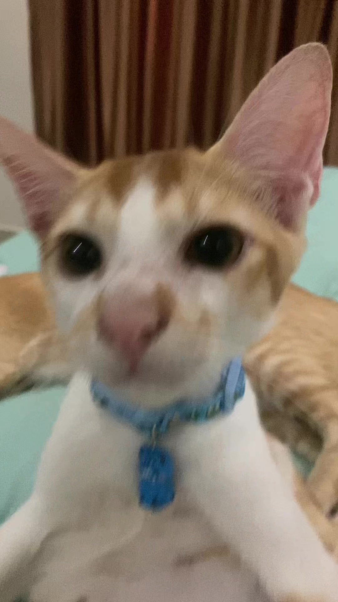 @annisawar