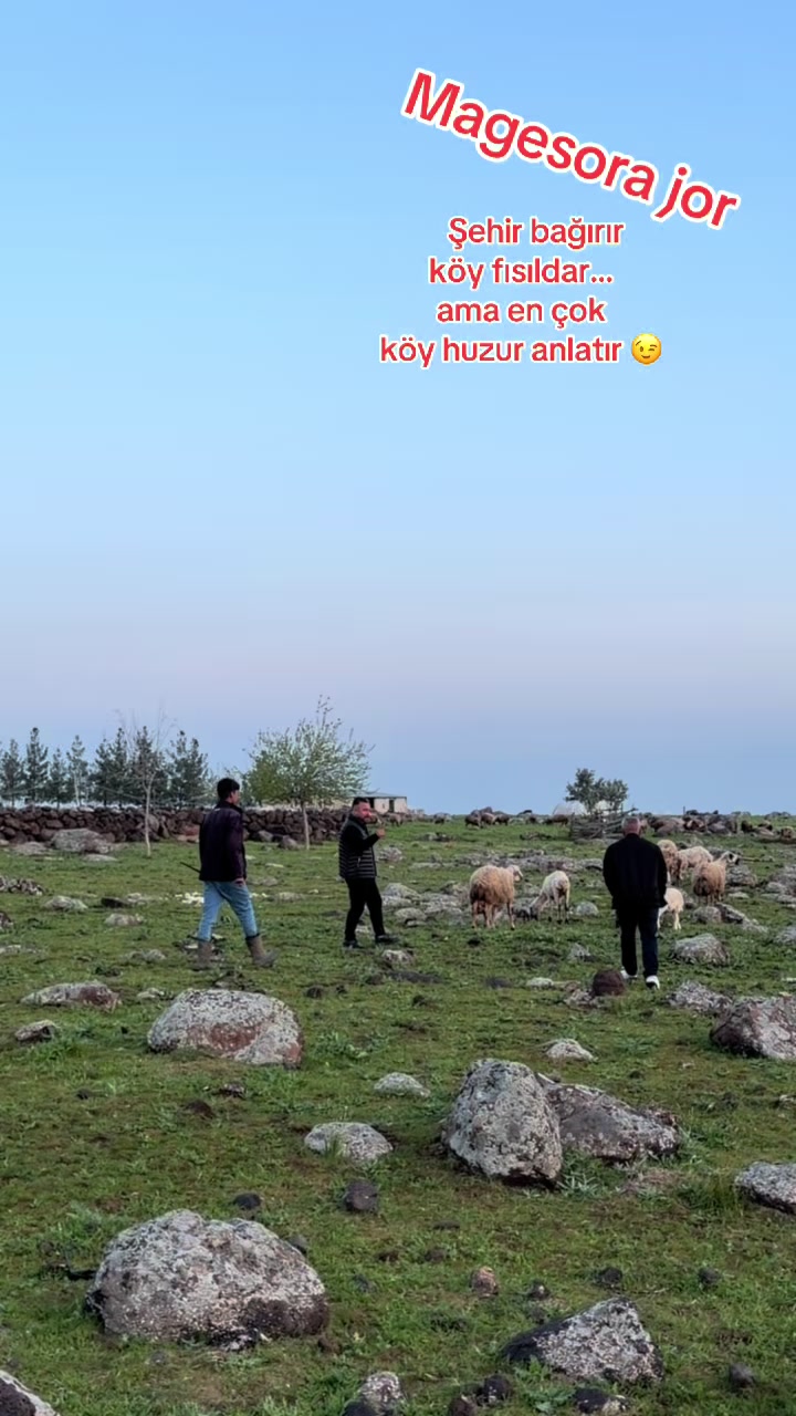 @KuDreT❤️Y&uuml;Ksel❤️AtLıYaN
