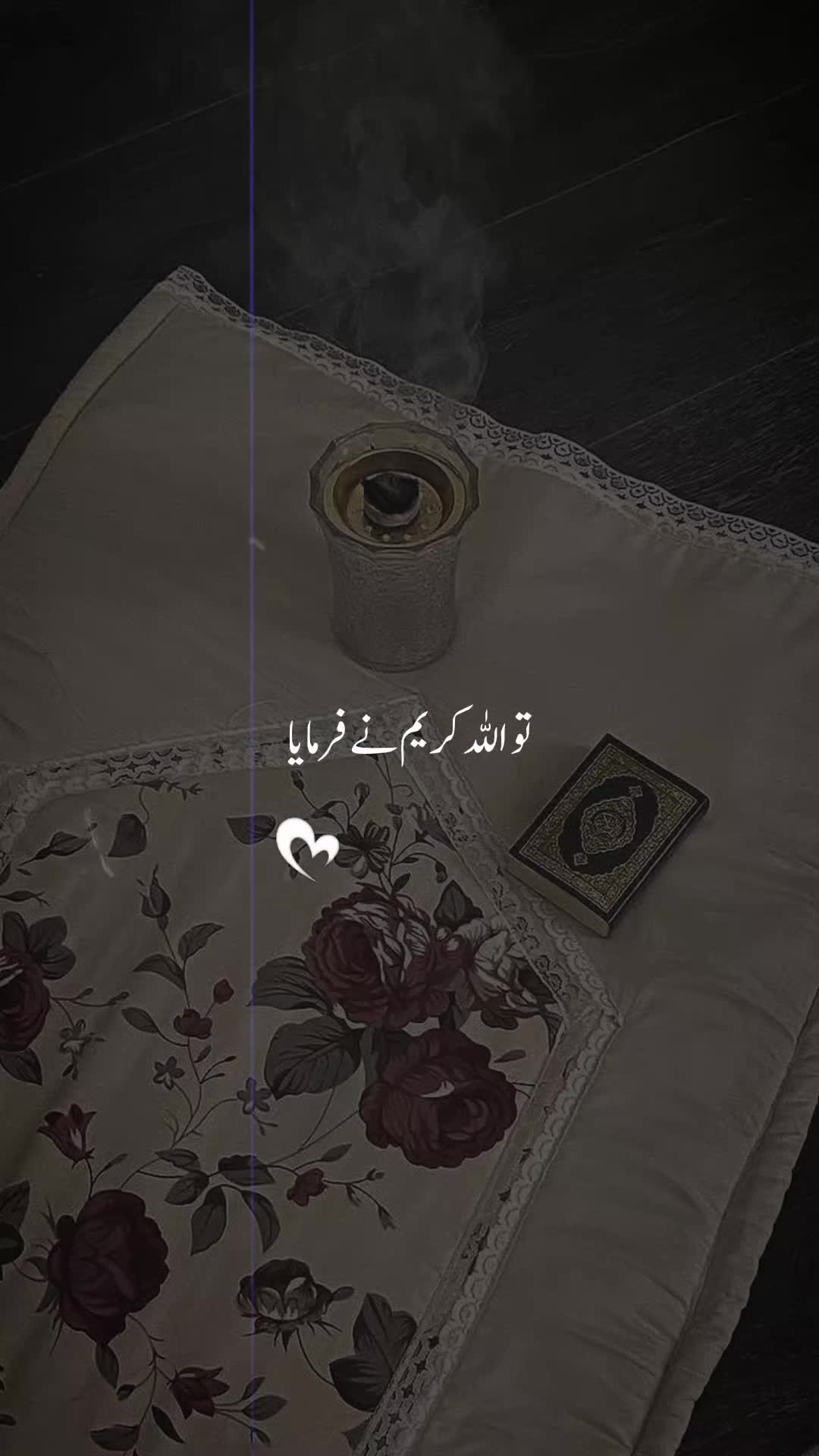 @اقصیٰ 🦋