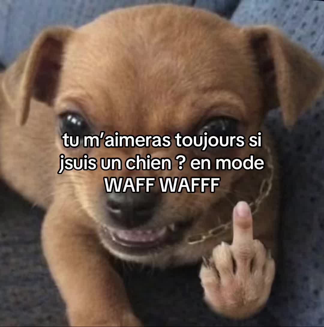 @#𝖎𝗱𝗱