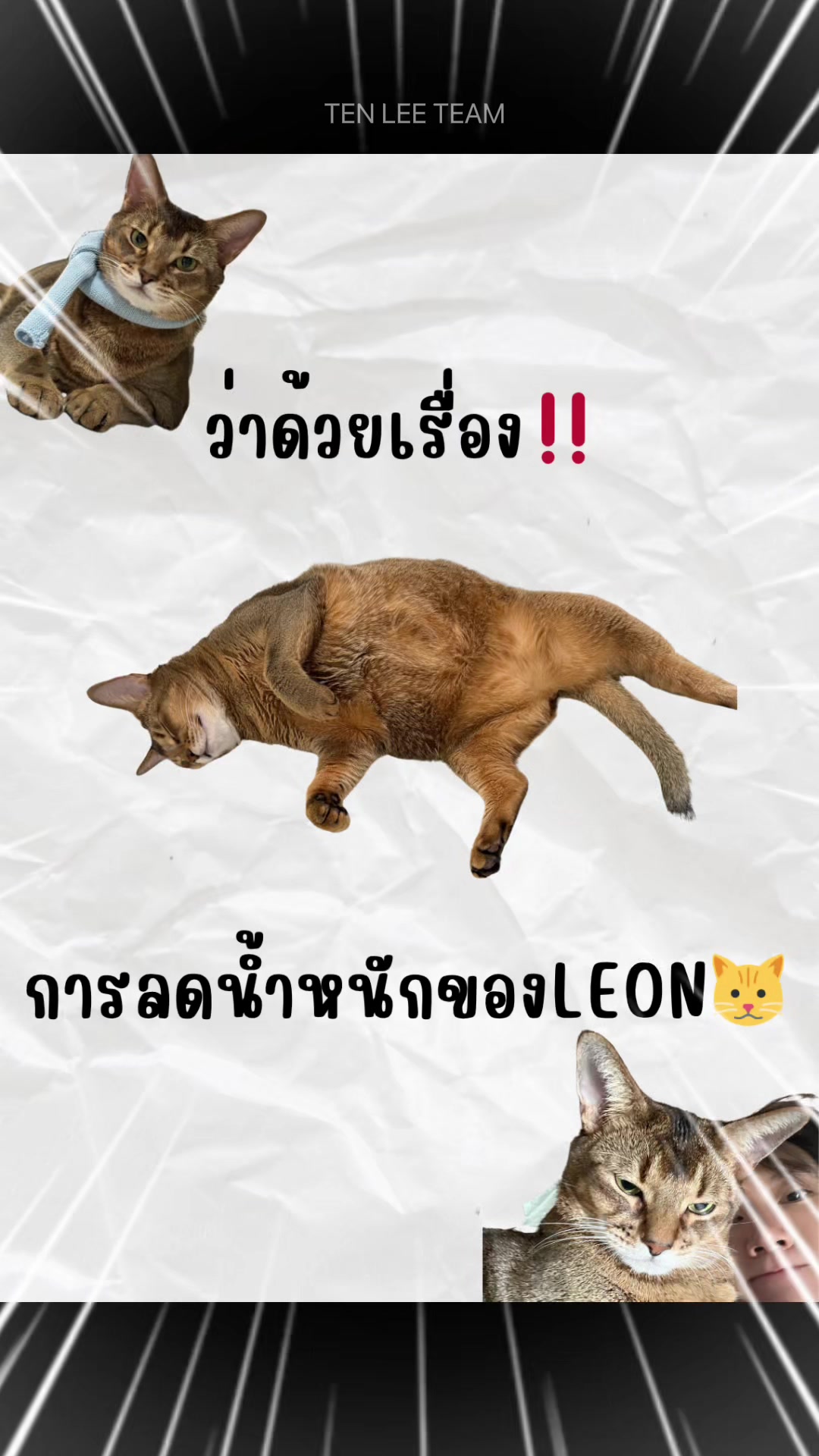 @TEN LEE TEAM