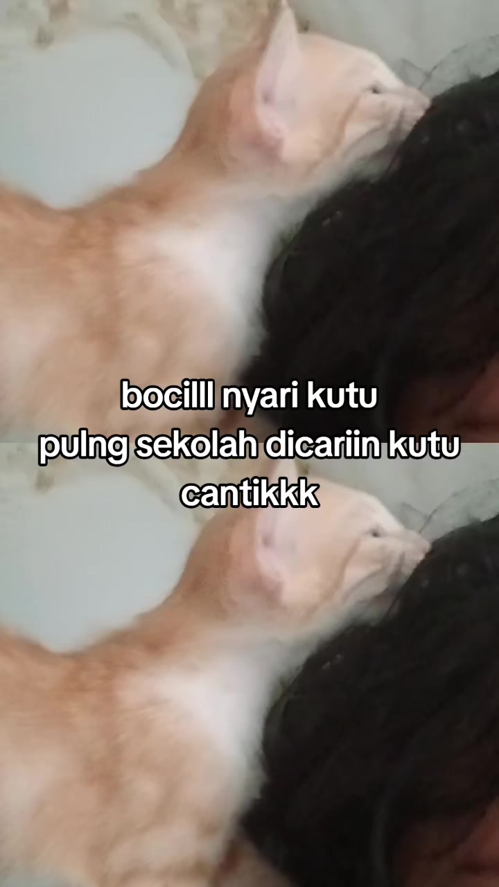 @toko sembako elifah syifah