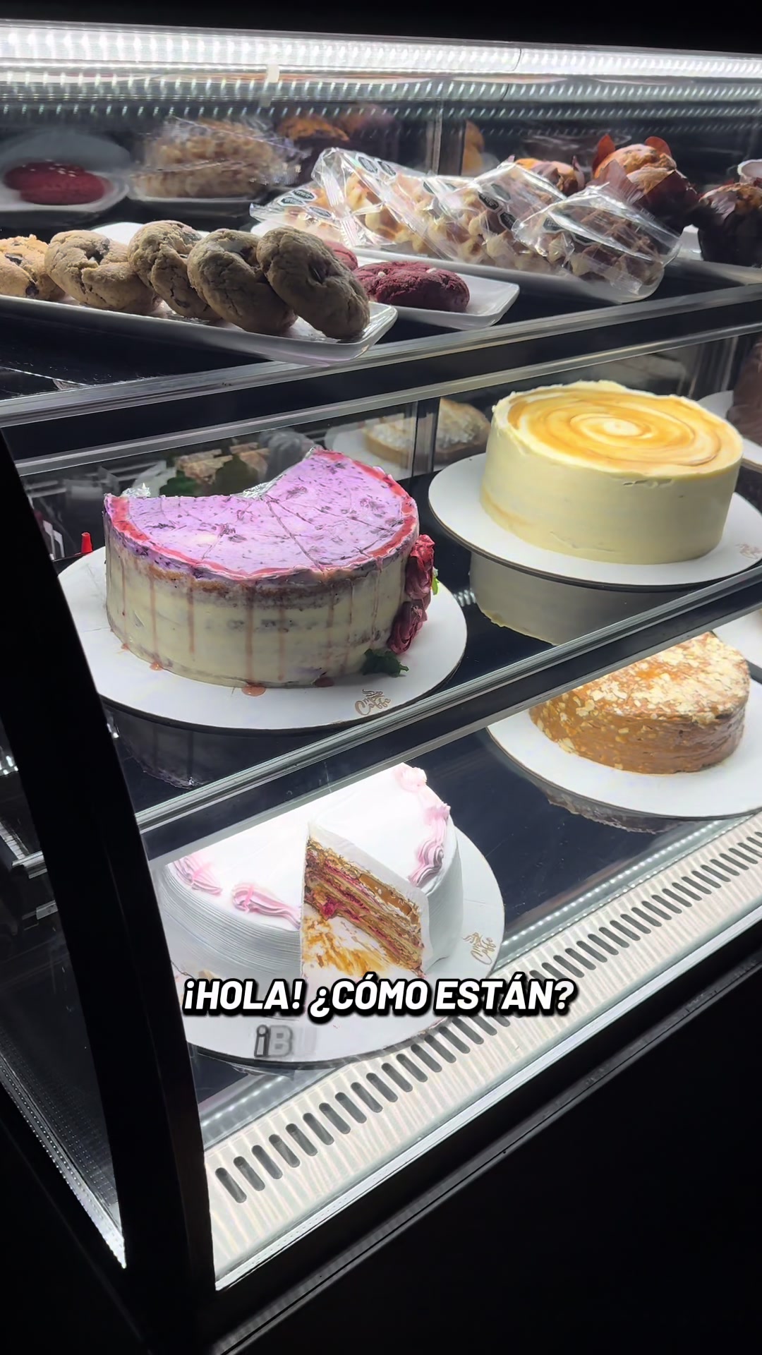 @Mr.Coffee