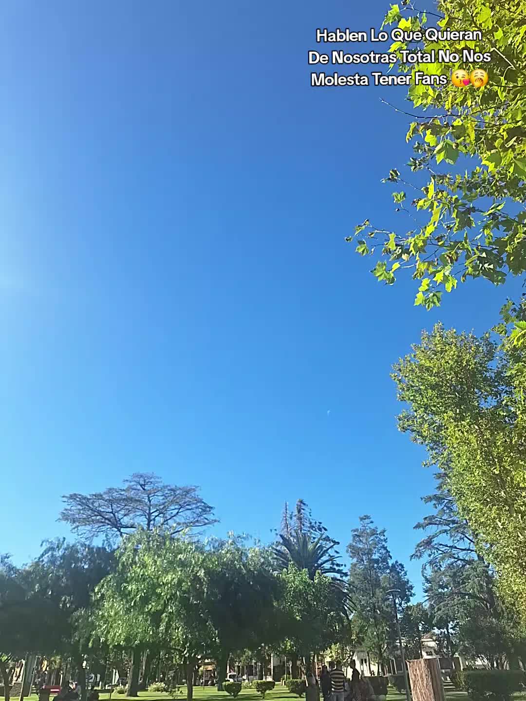 @lasmas🆒🤙