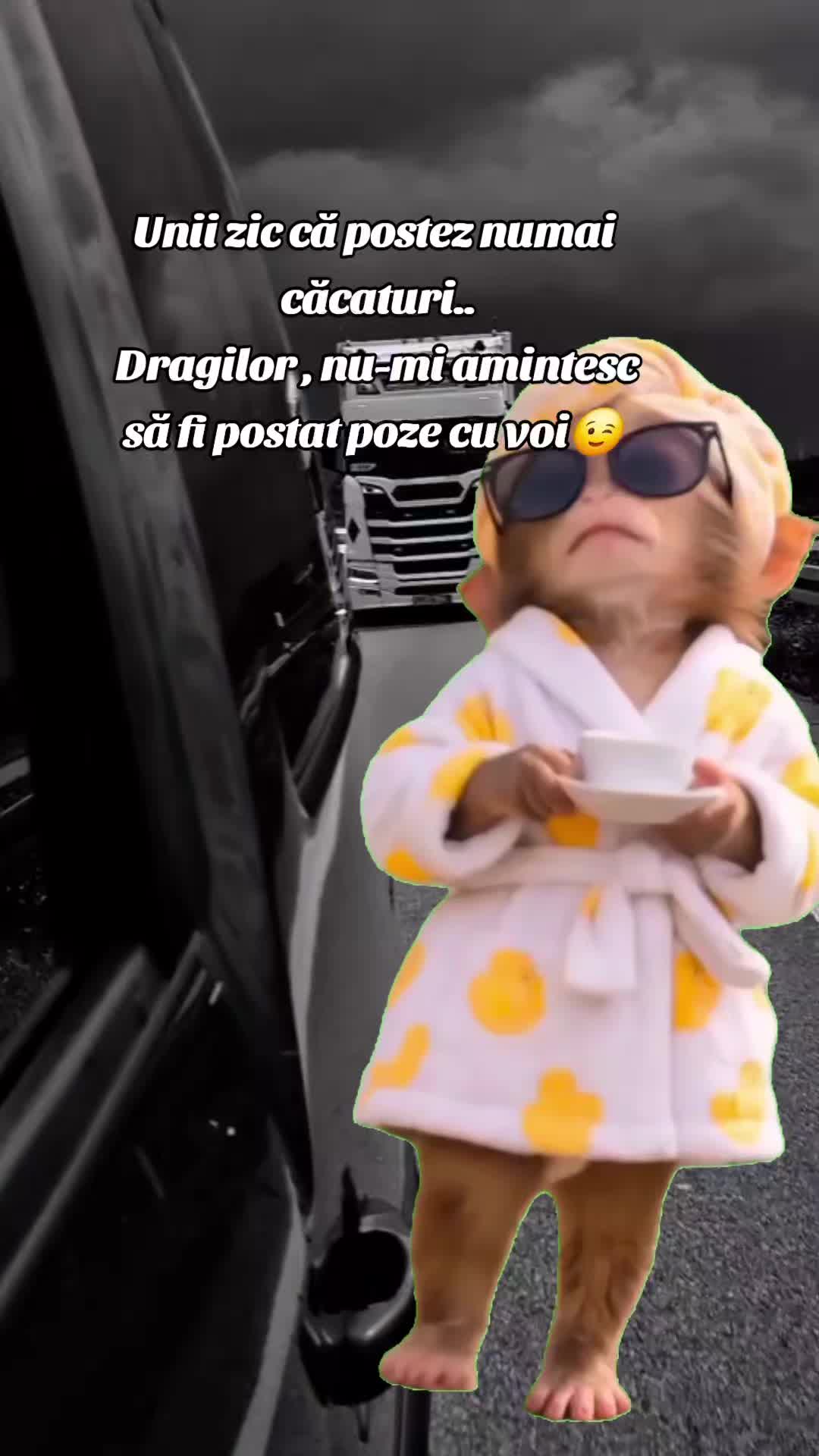 @Stella