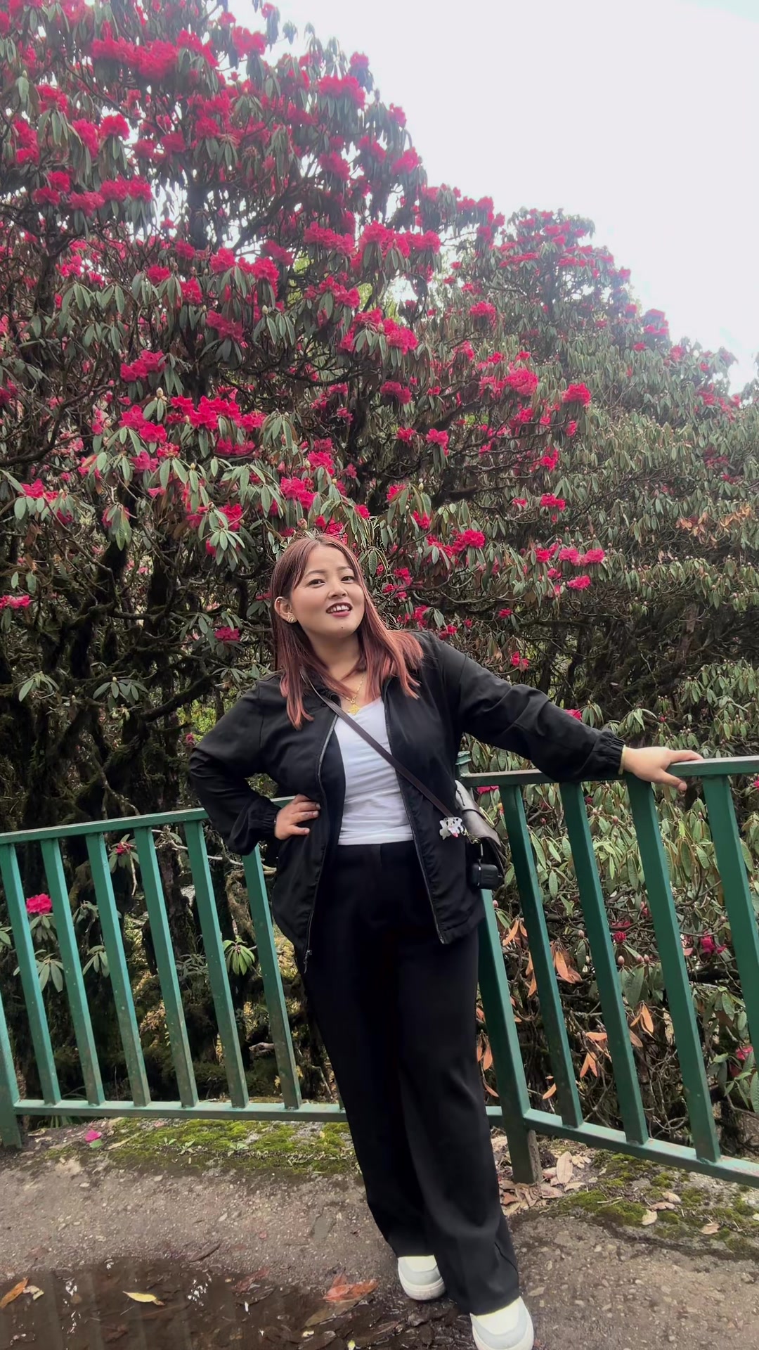 @𝐍𝐞𝐡A✨