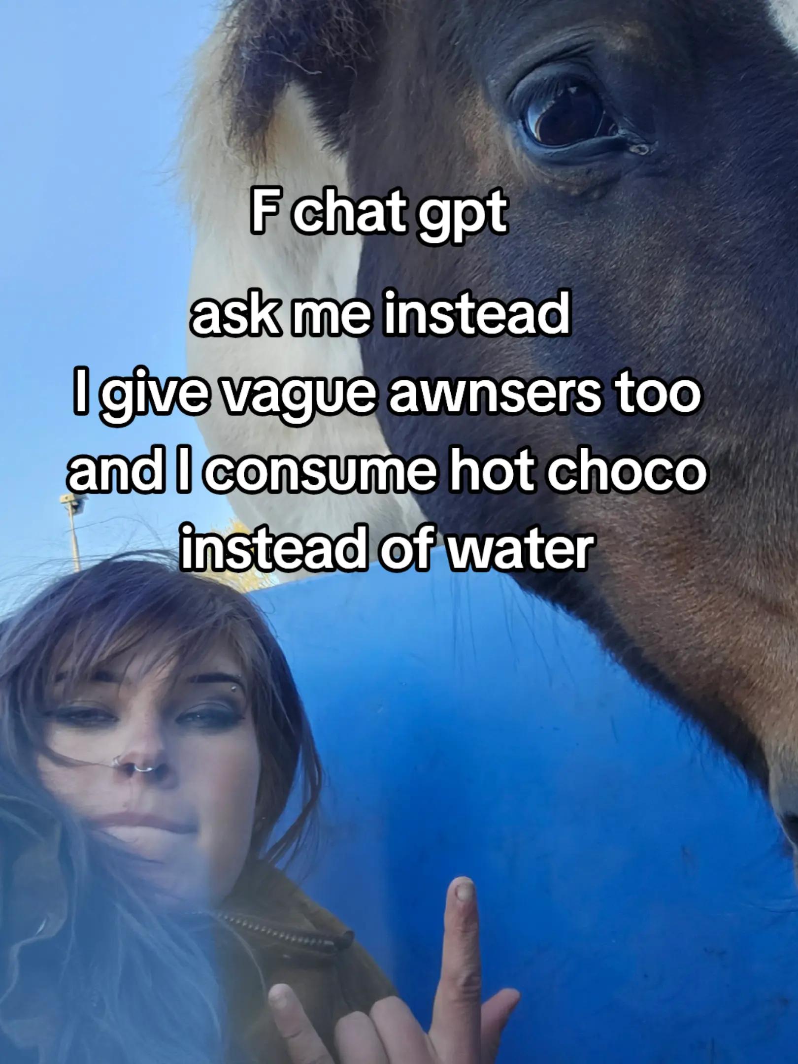 @Dino and horses