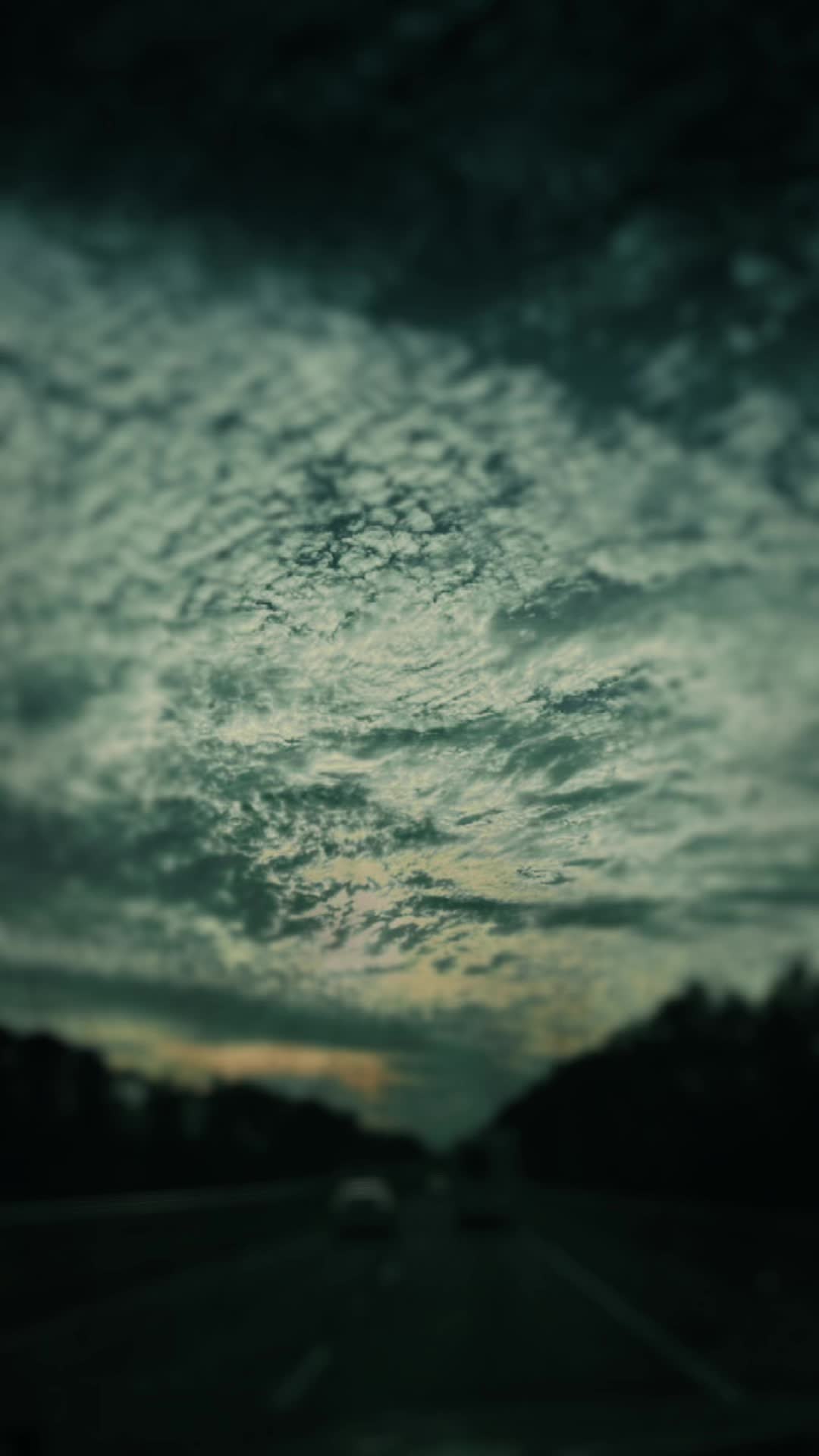@✨𝓣𝓪𝓽𝓽𝓮𝓭 𝓖𝓮𝓶✨