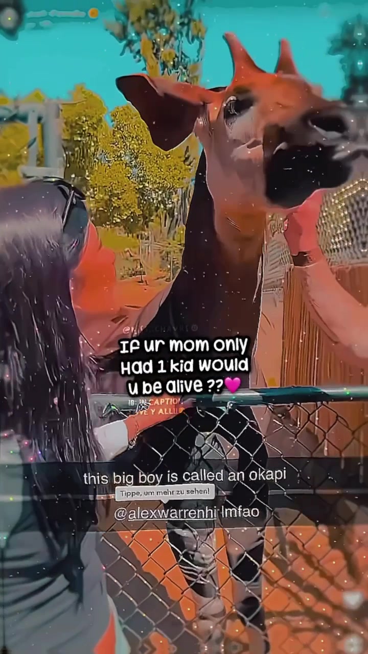 @🫶🏻