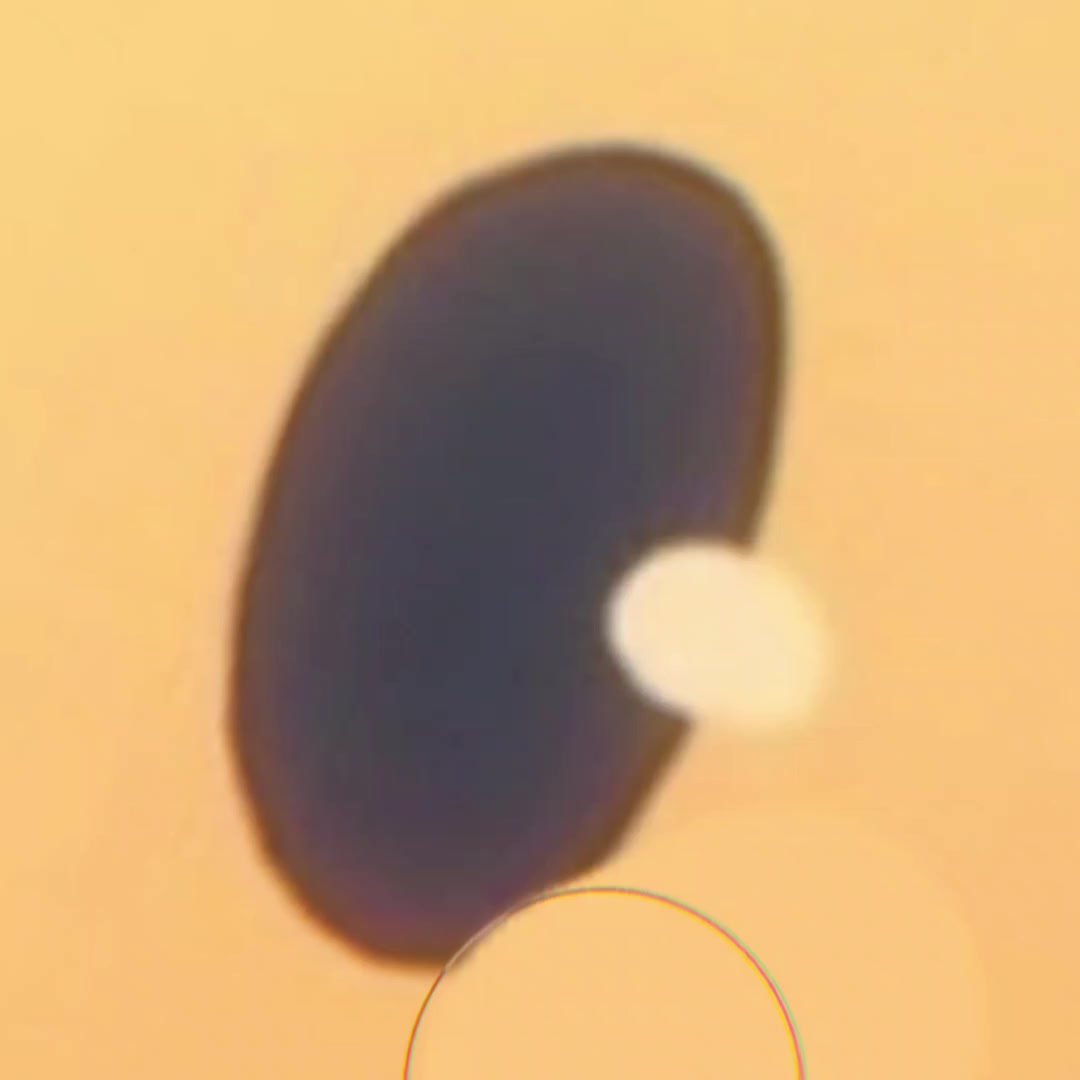 @メロンの冒険