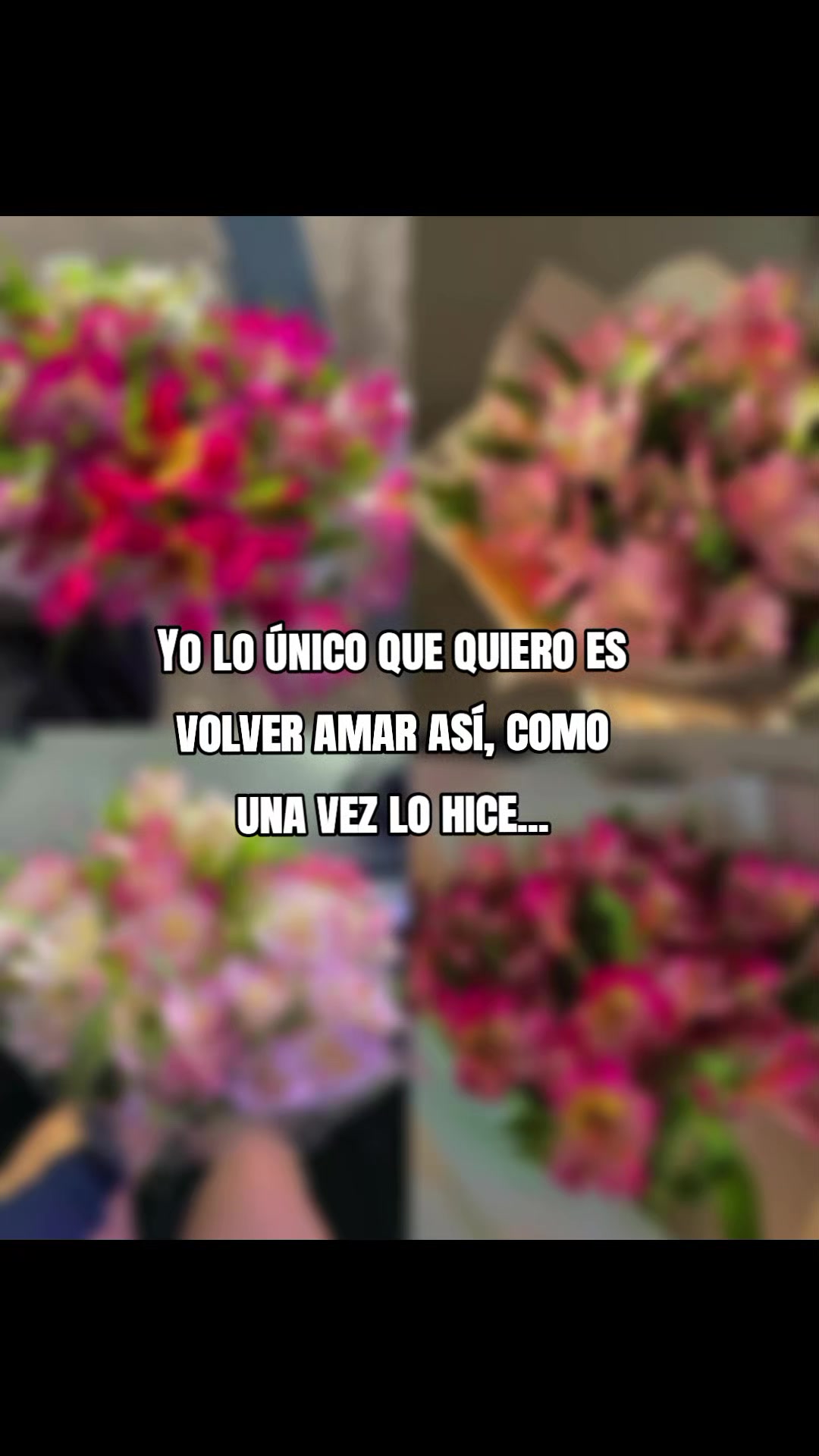 @Priincesita🌻Garc&iacute;a