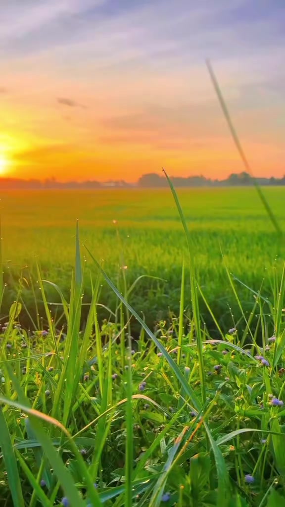 @Lữ Khách