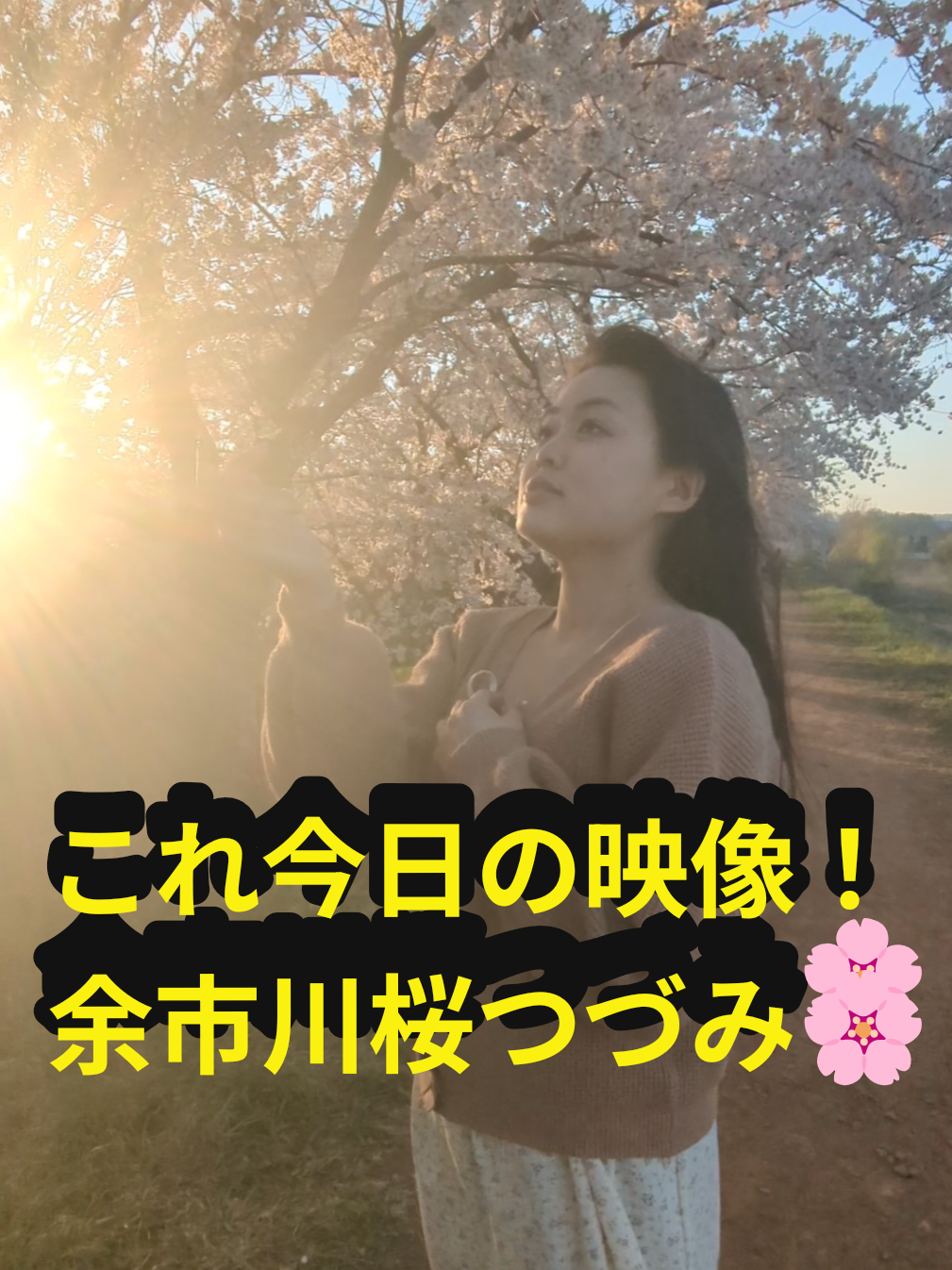 @U^ｪ^U　小樽市に住む犬『まかろん』の飼い主