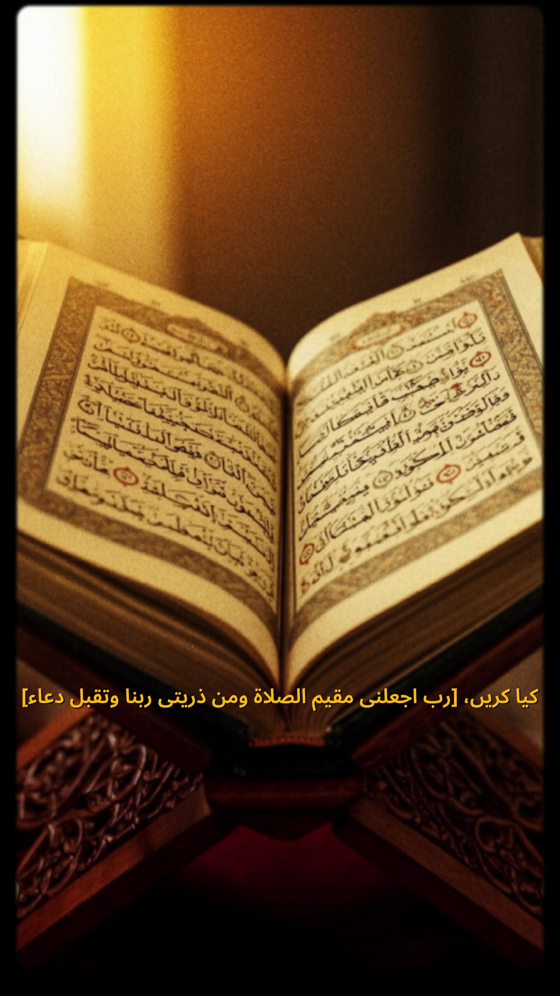 @Muhammad Ameer Hamza