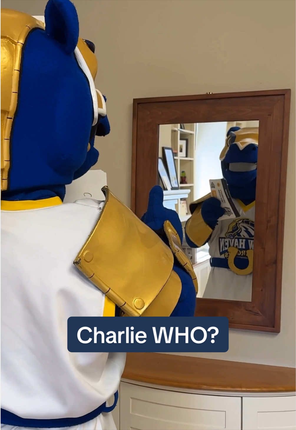 @University of New Haven