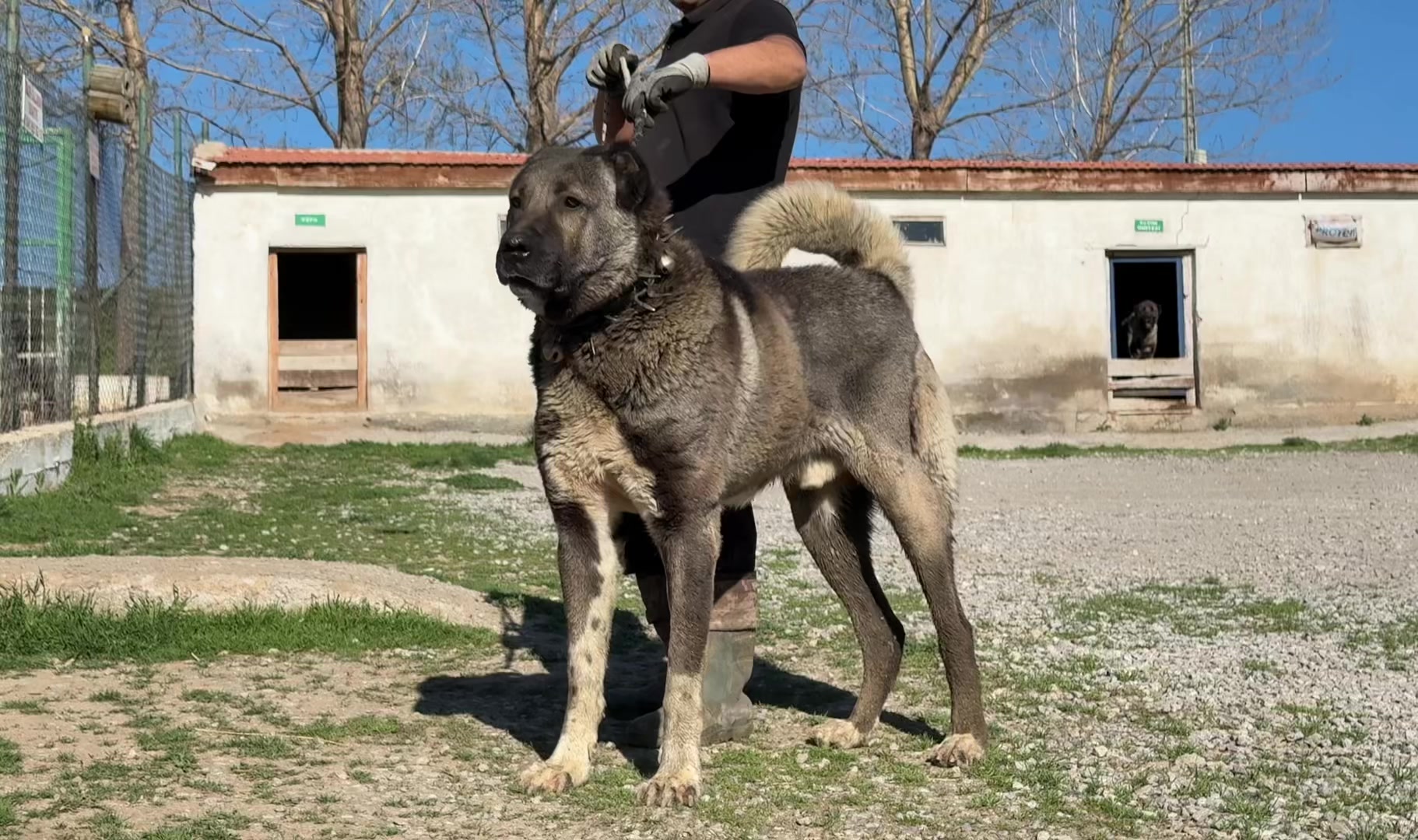 @Umut taşdelen