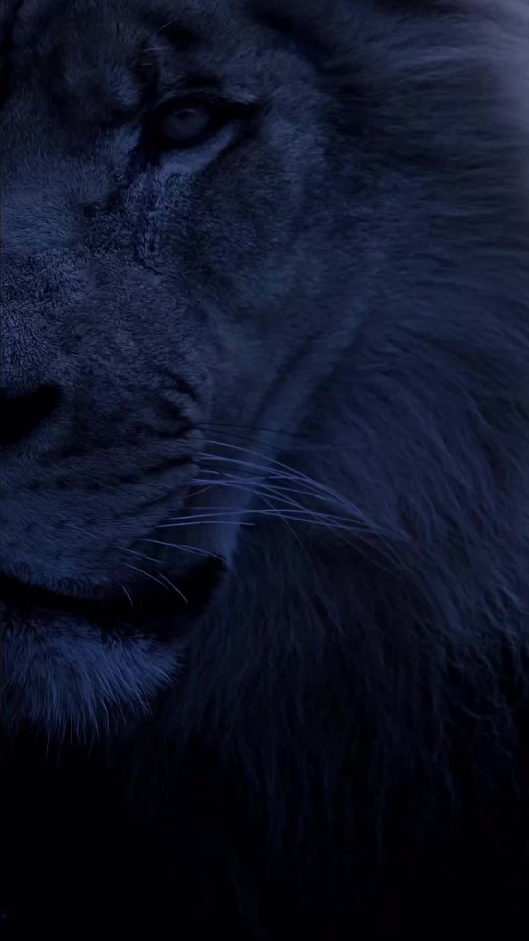 @𝗛𝗮𝗿𝗿𝘆