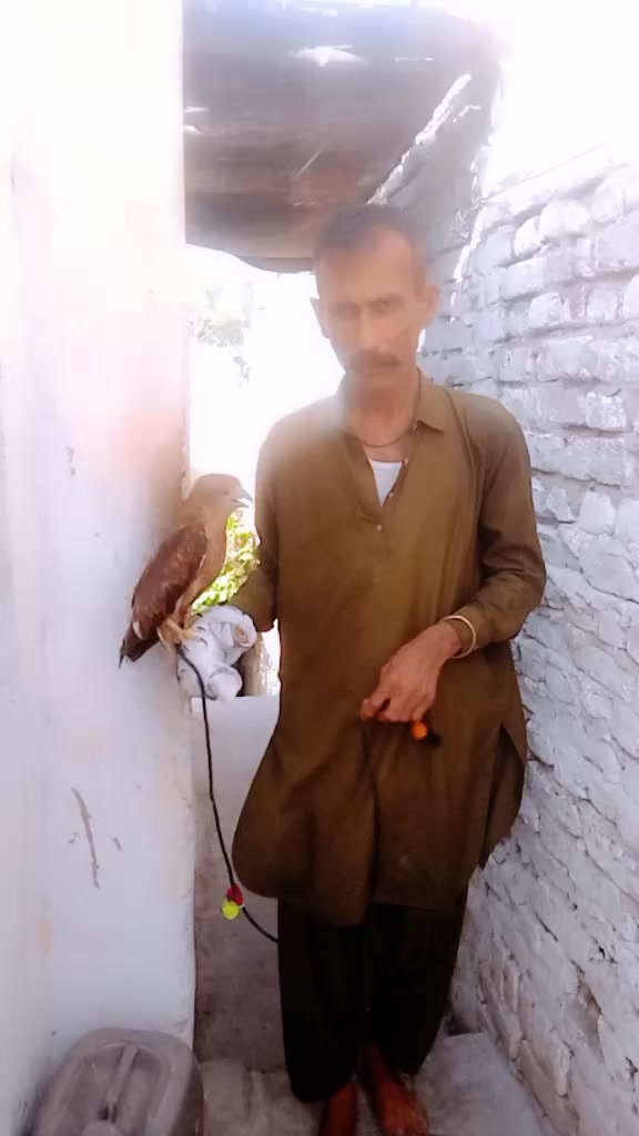@shahid Rind