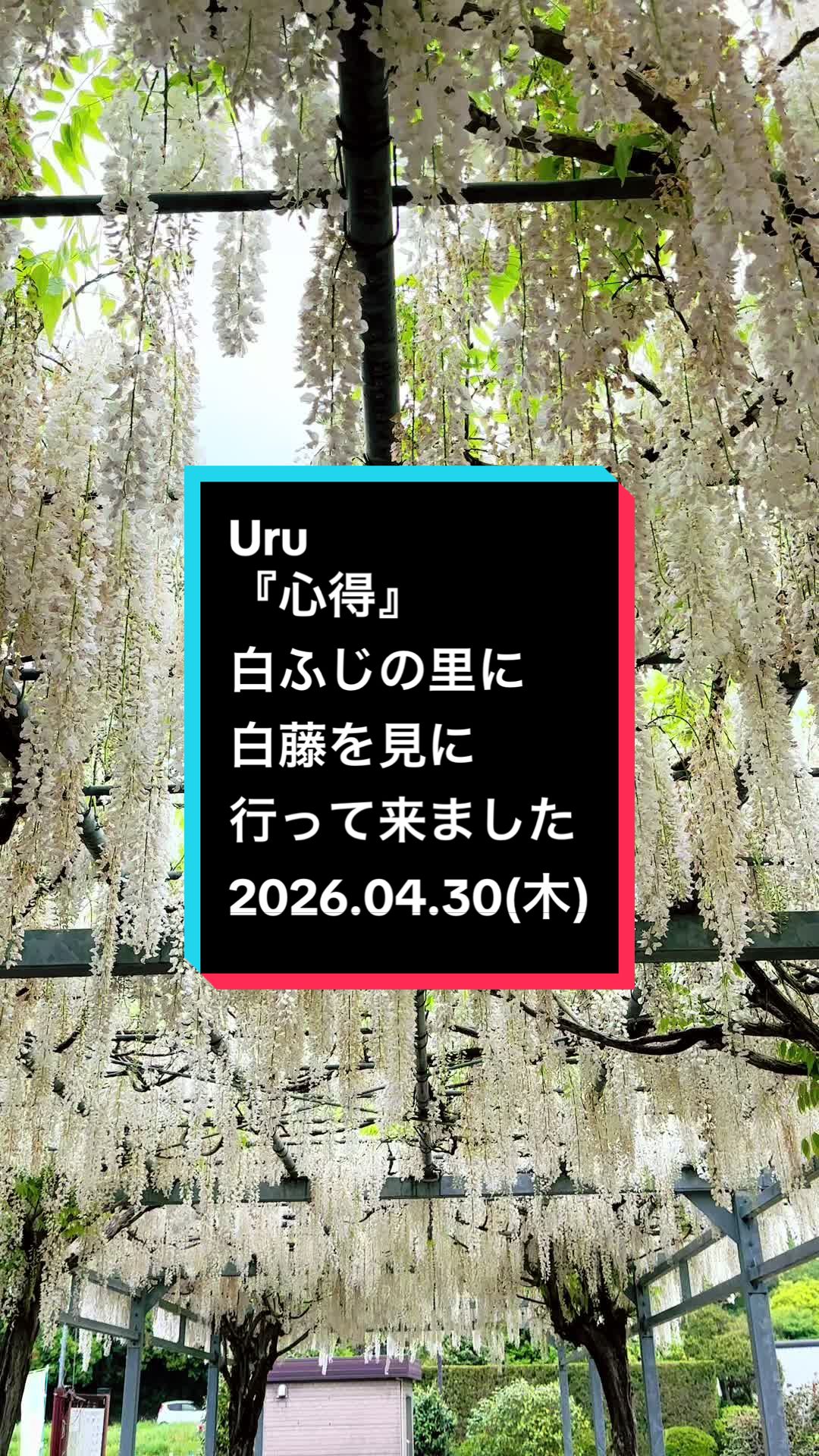 @ゆる