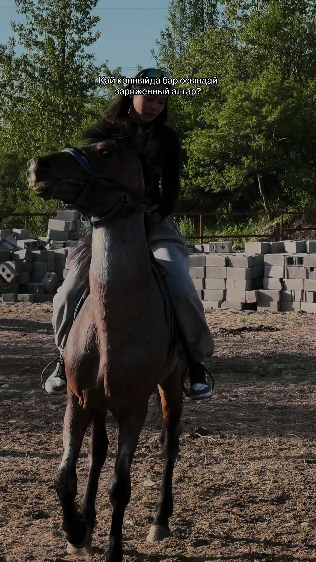 @akshatau_horses