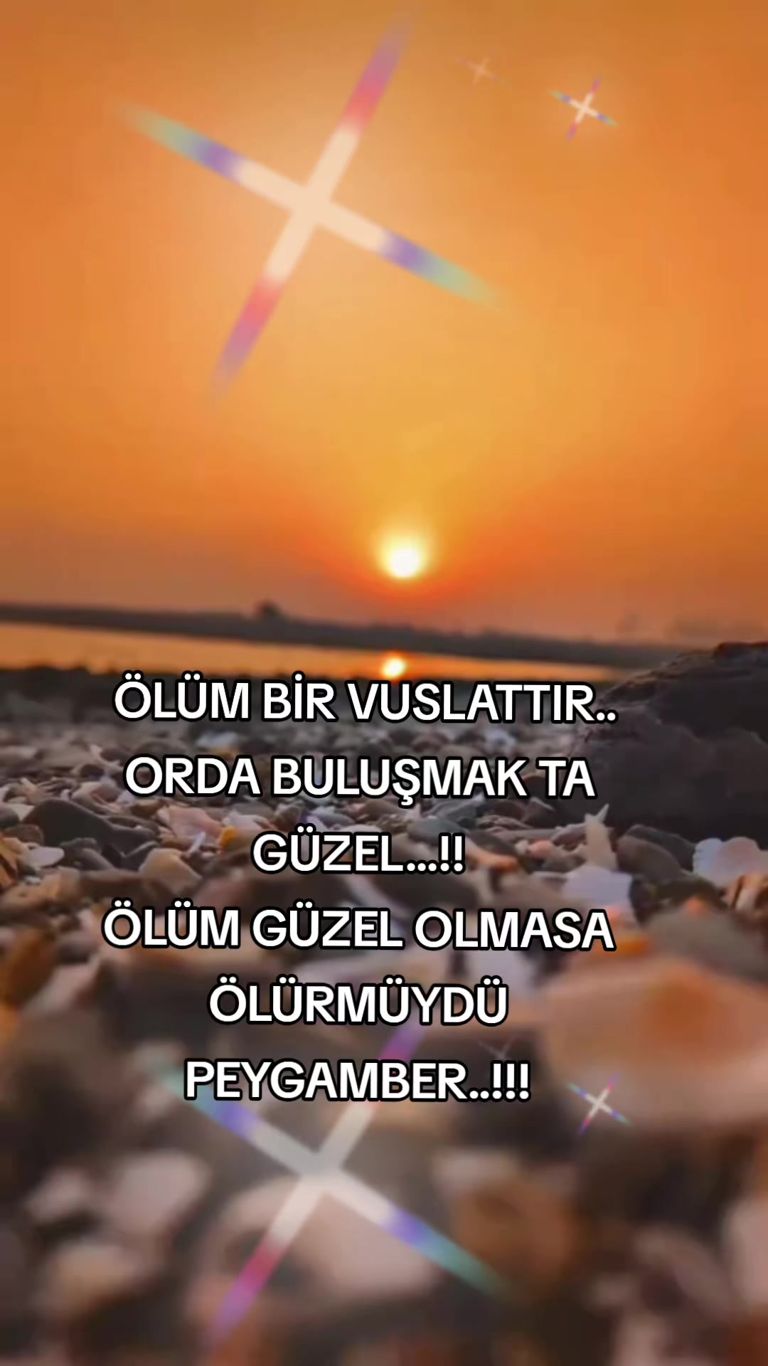 @Ayşeg&uuml;l Yavuz