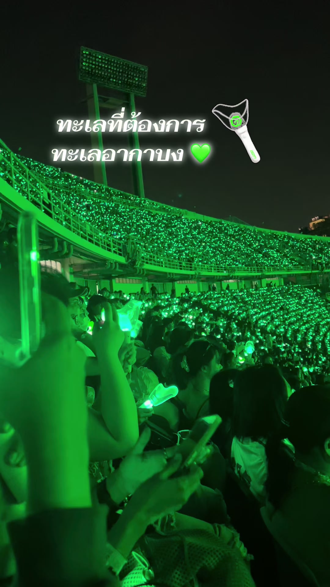@💚 MT ❤️