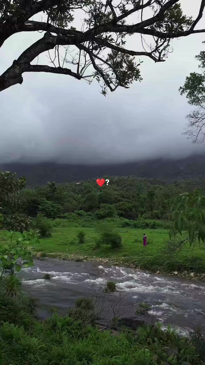 @Depuu❤️