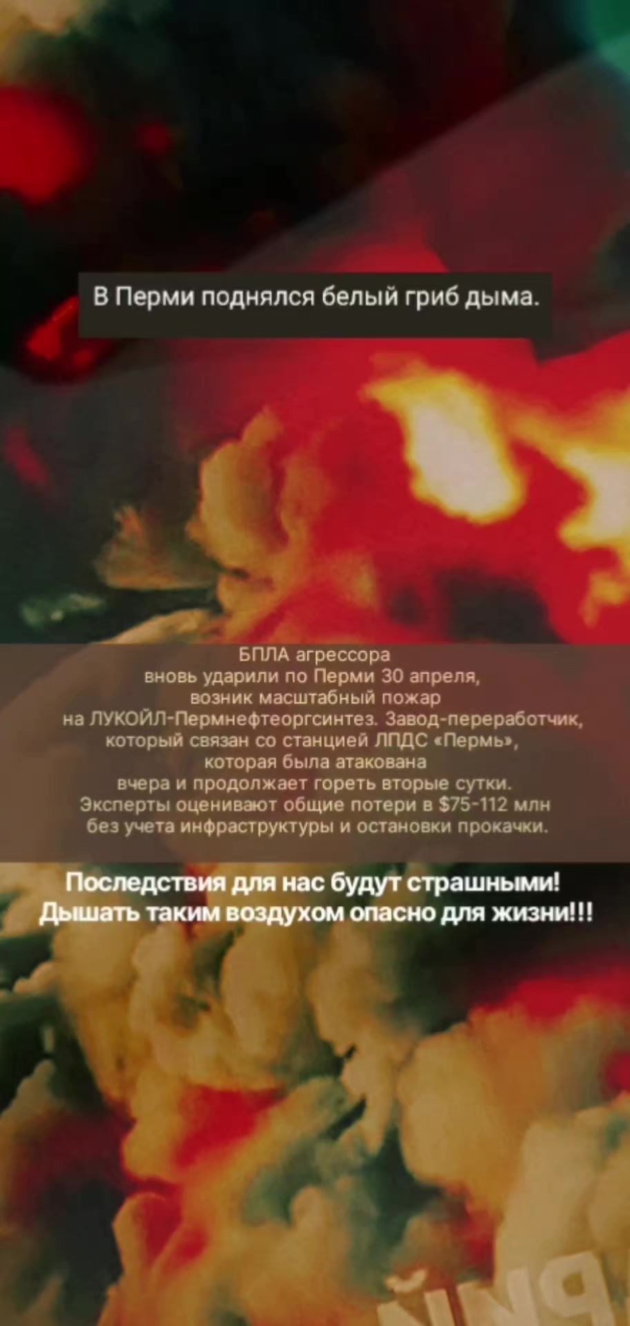 @EGOR_61Region
