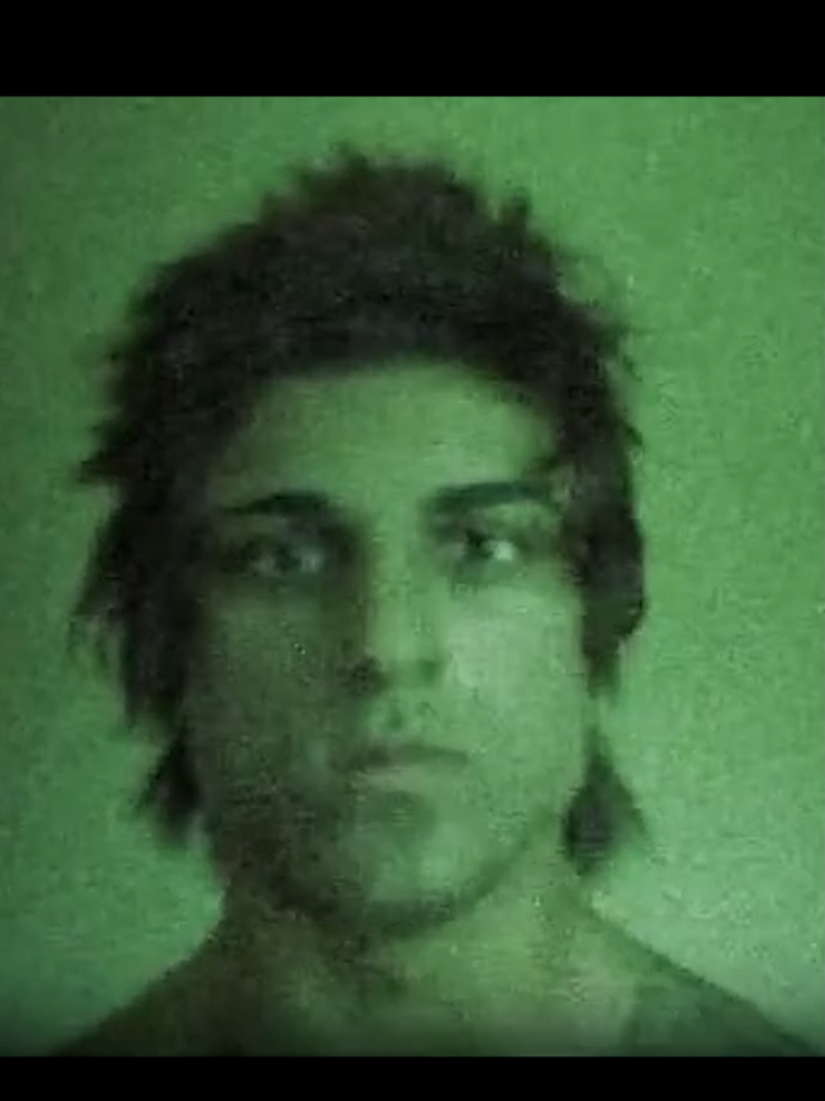 @The Zyzz project