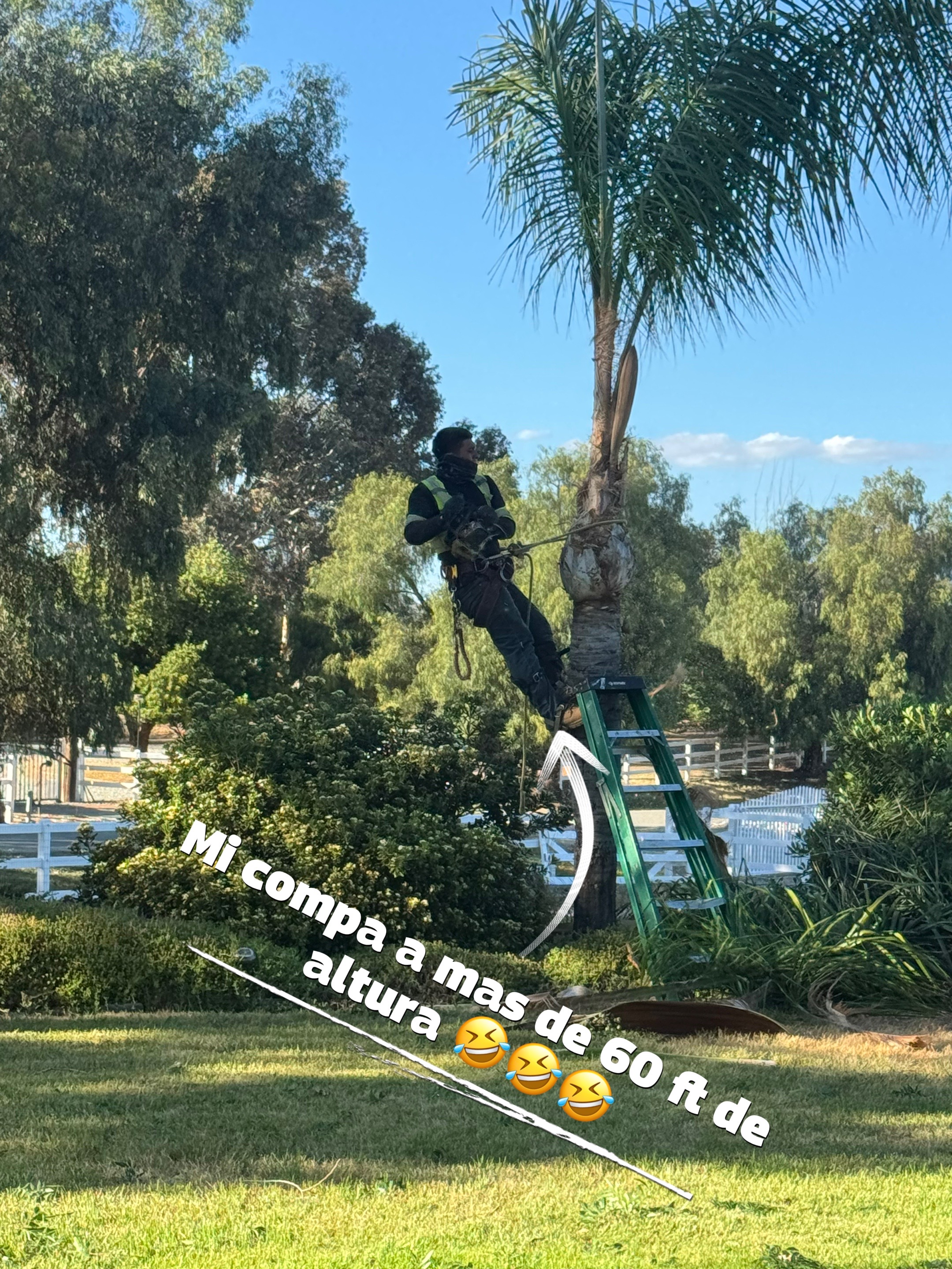 @🌴🌳chino_climber 🌲🇬🇹