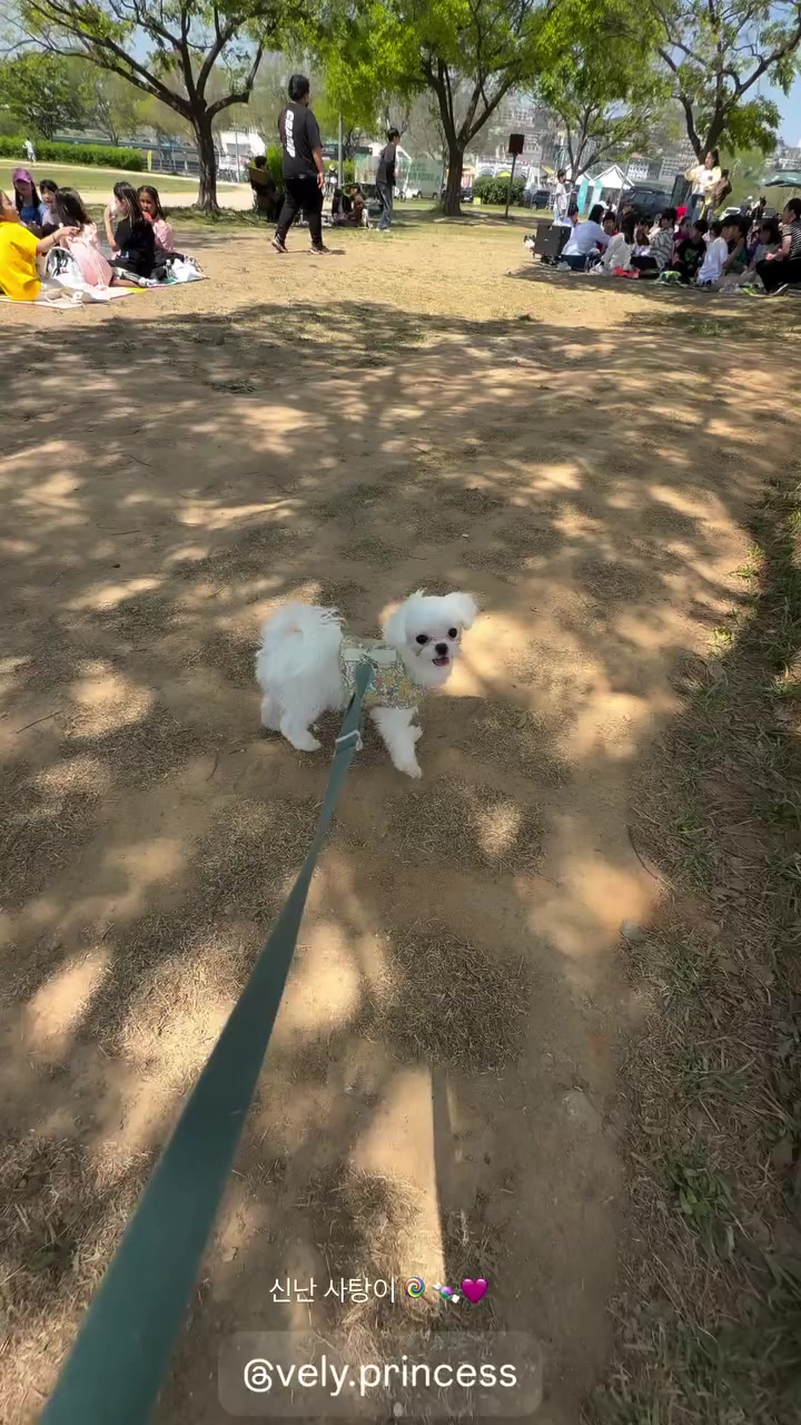 @래퍼번개