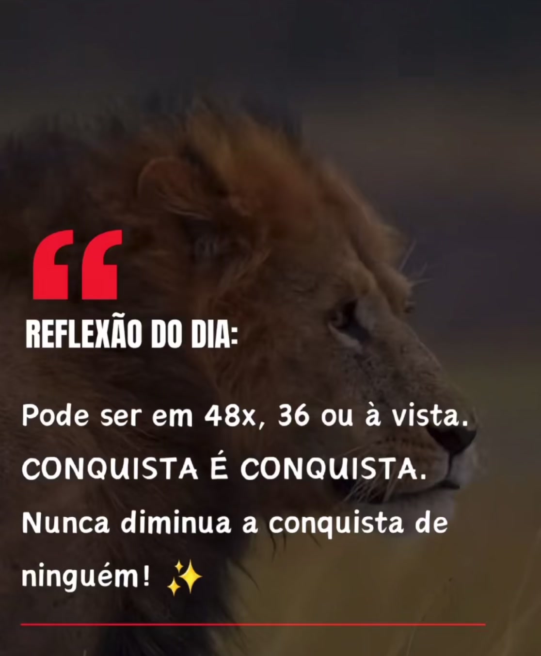 @Cl&aacute;udia Alves