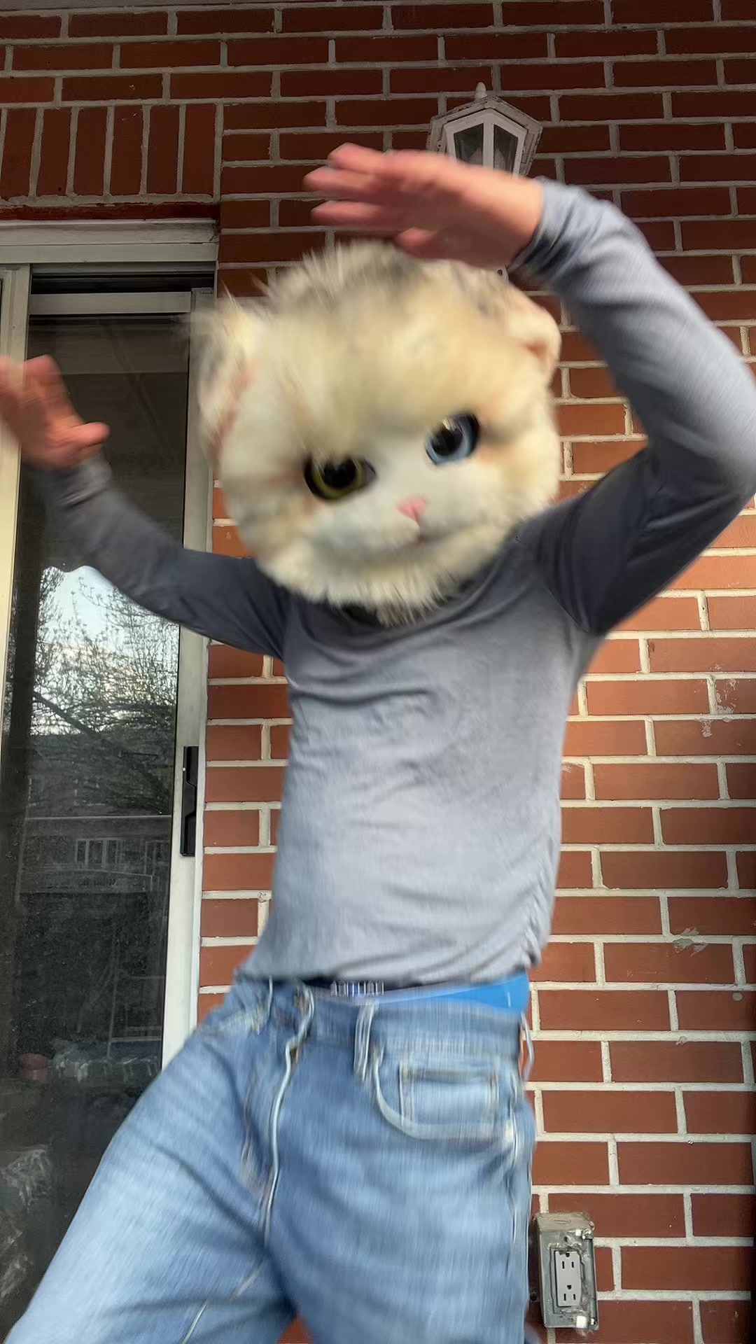 @The CaT 😼