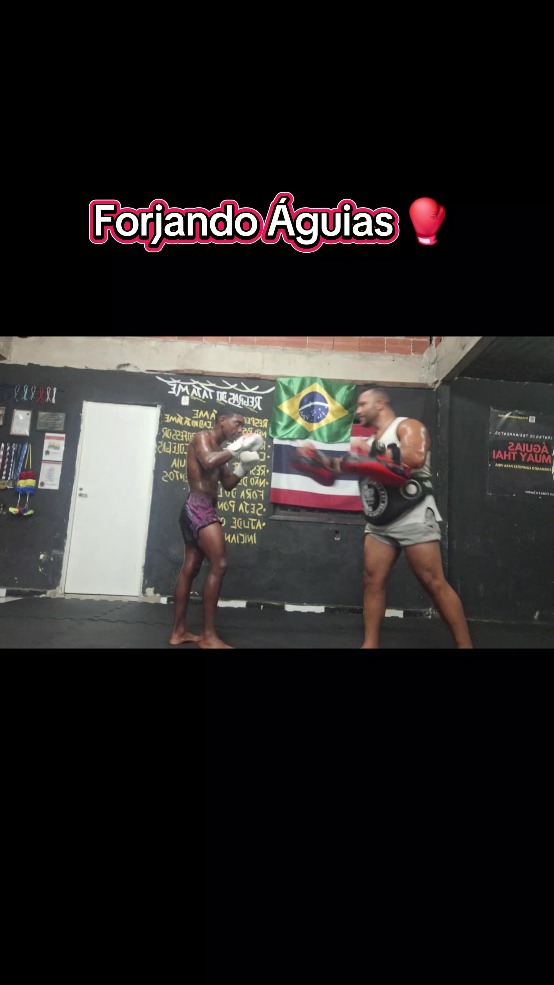 @Thiago Camargo