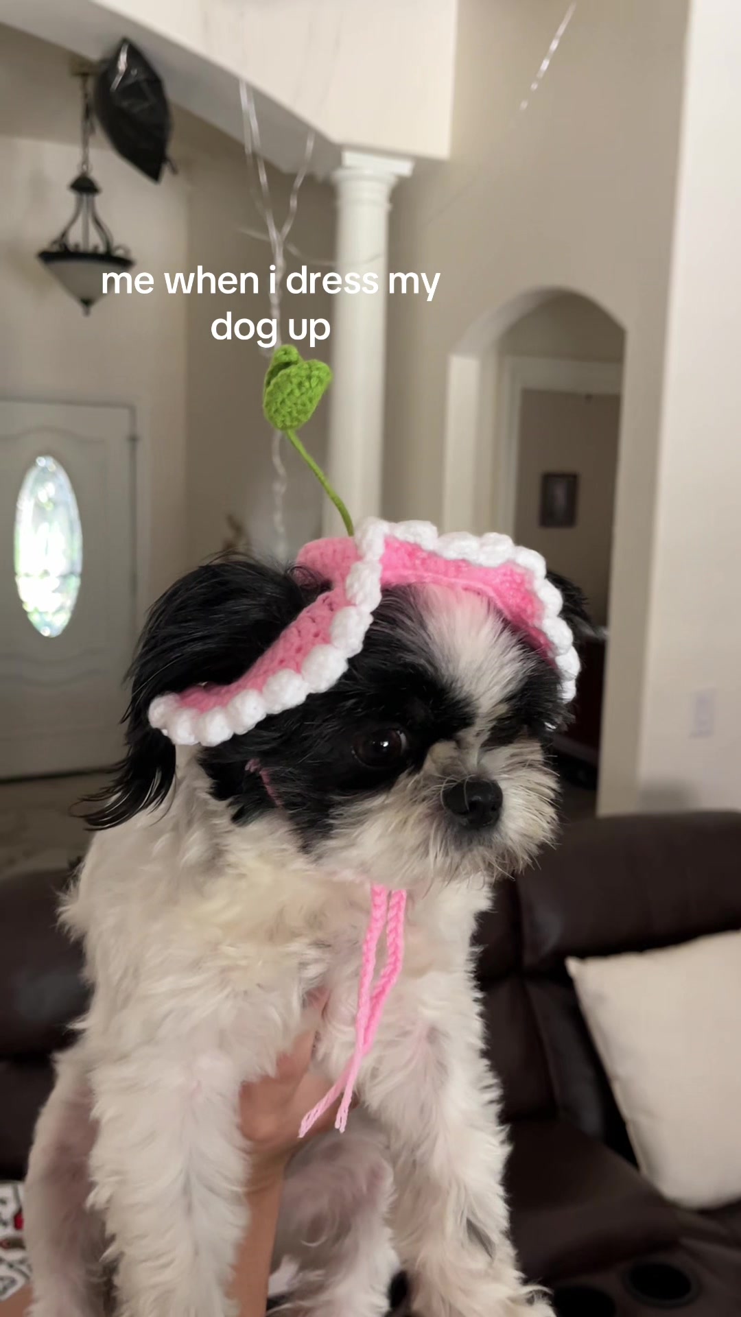 @L E S