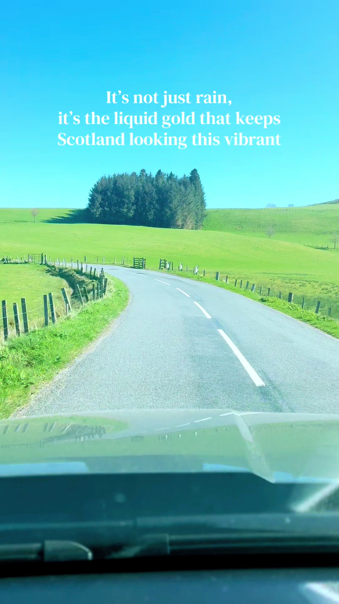 @Tartan Roots